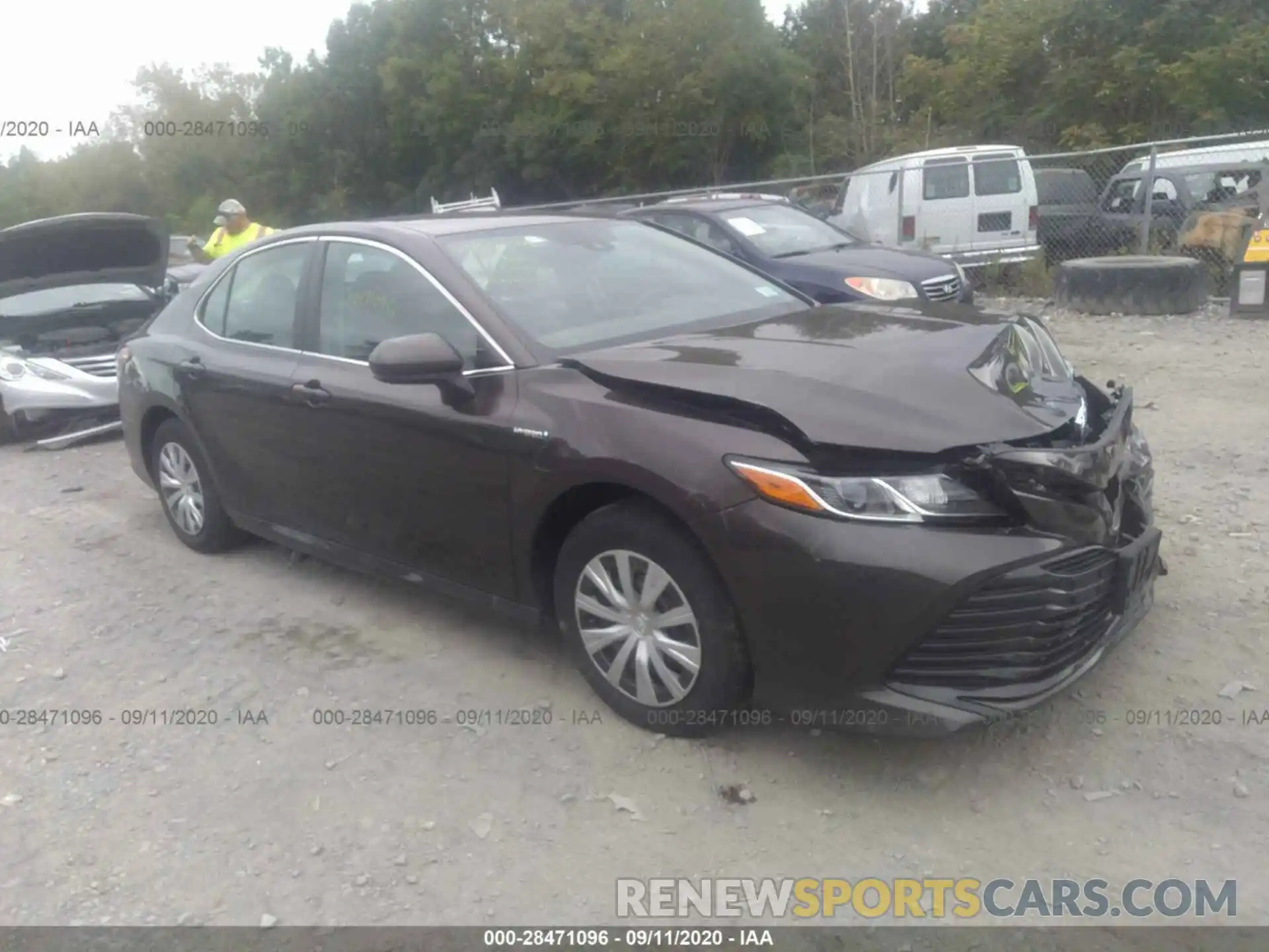 1 Photograph of a damaged car 4T1B31HKXKU005256 TOYOTA CAMRY 2019