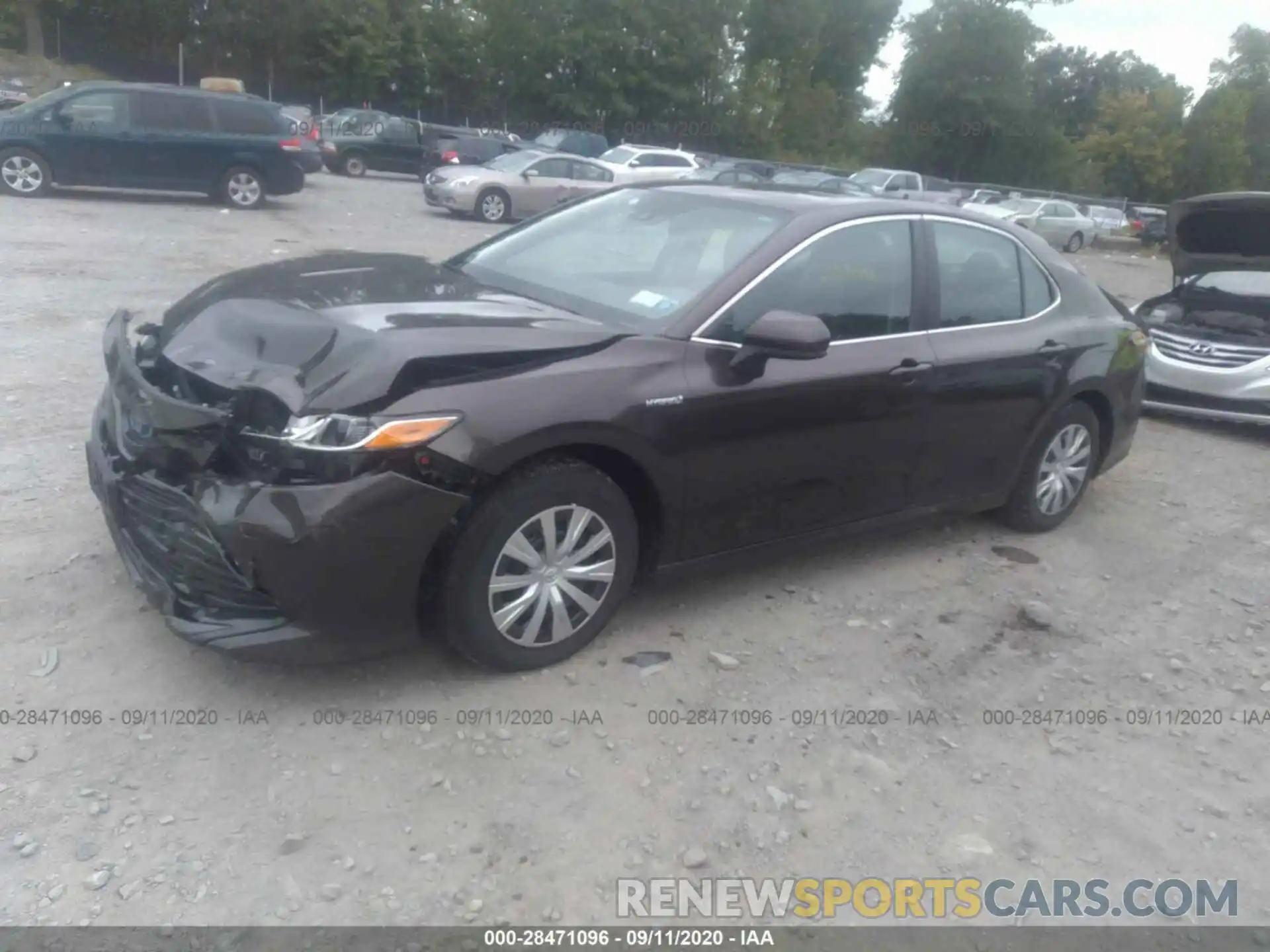 2 Photograph of a damaged car 4T1B31HKXKU005256 TOYOTA CAMRY 2019