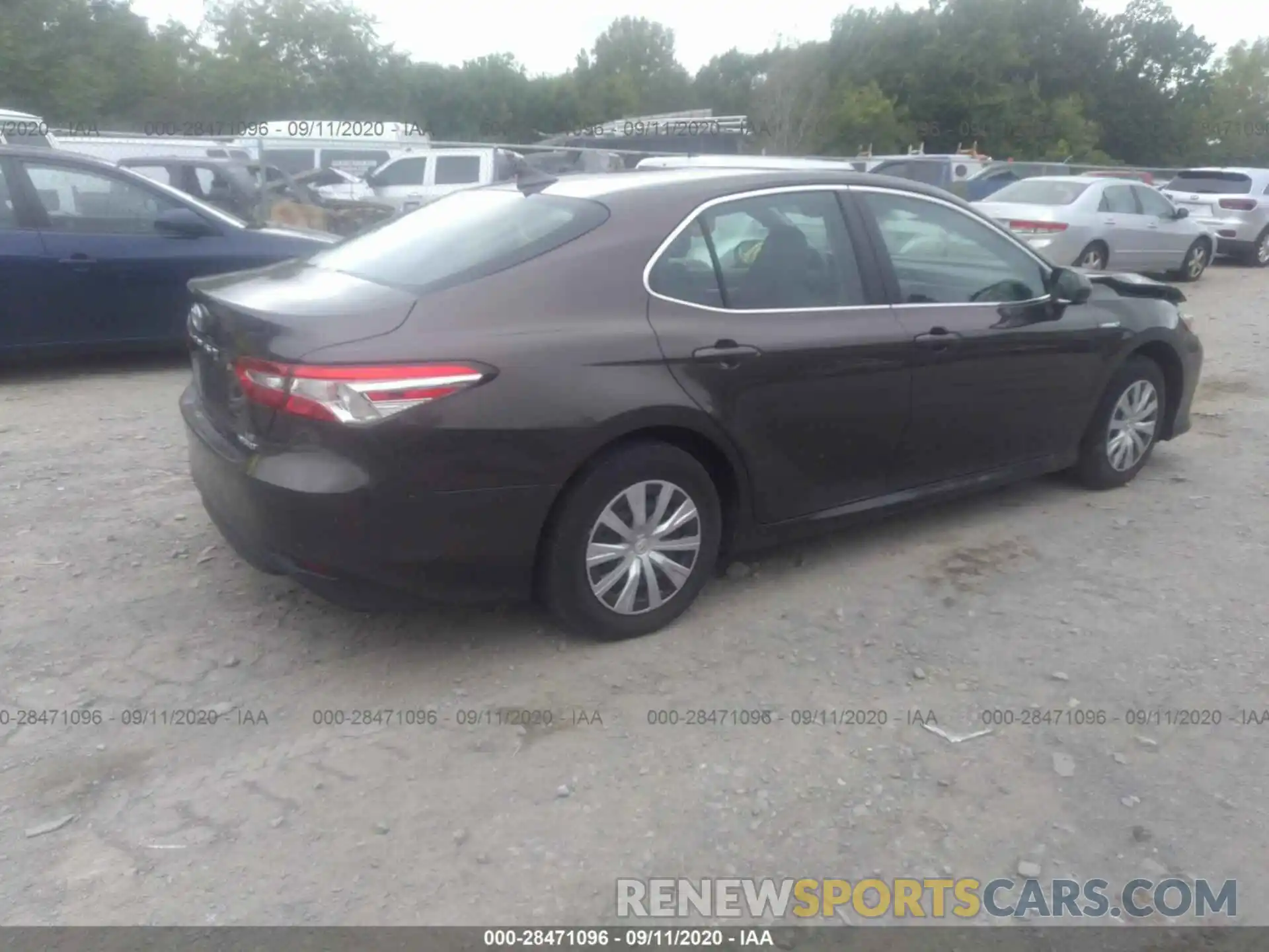 4 Photograph of a damaged car 4T1B31HKXKU005256 TOYOTA CAMRY 2019