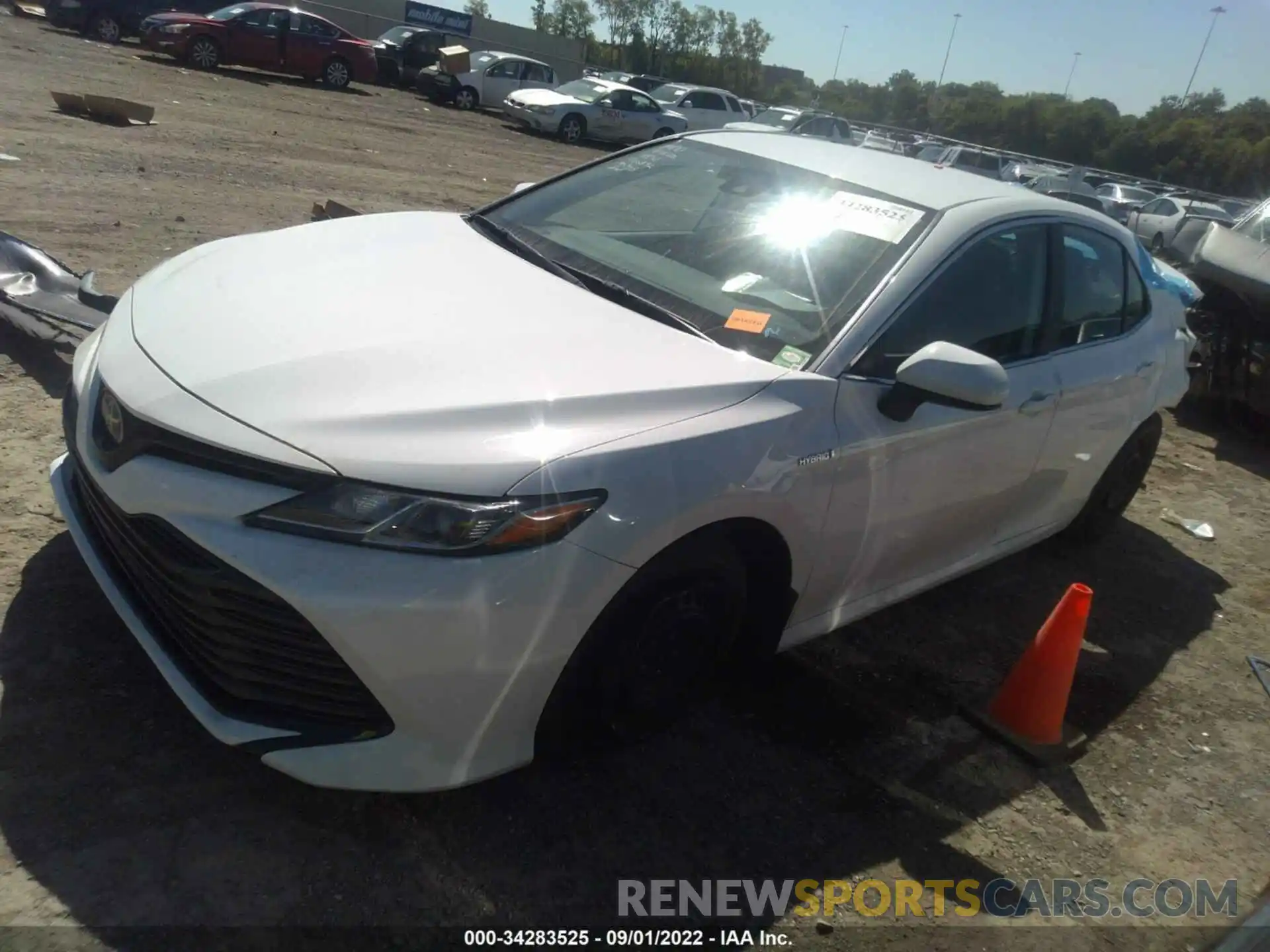 2 Photograph of a damaged car 4T1B31HKXKU006892 TOYOTA CAMRY 2019