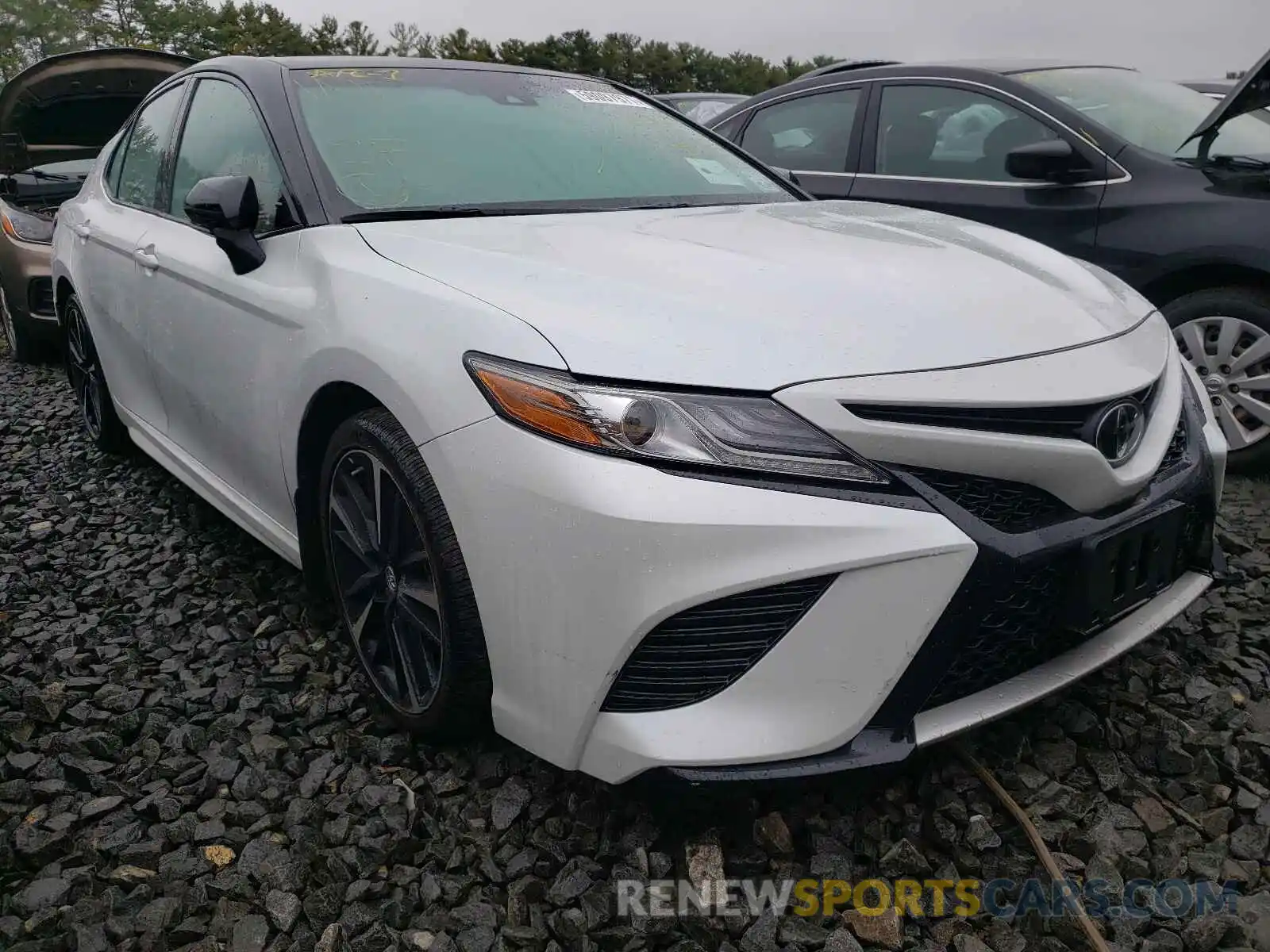 1 Photograph of a damaged car 4T1B61HK0KU276835 TOYOTA CAMRY 2019