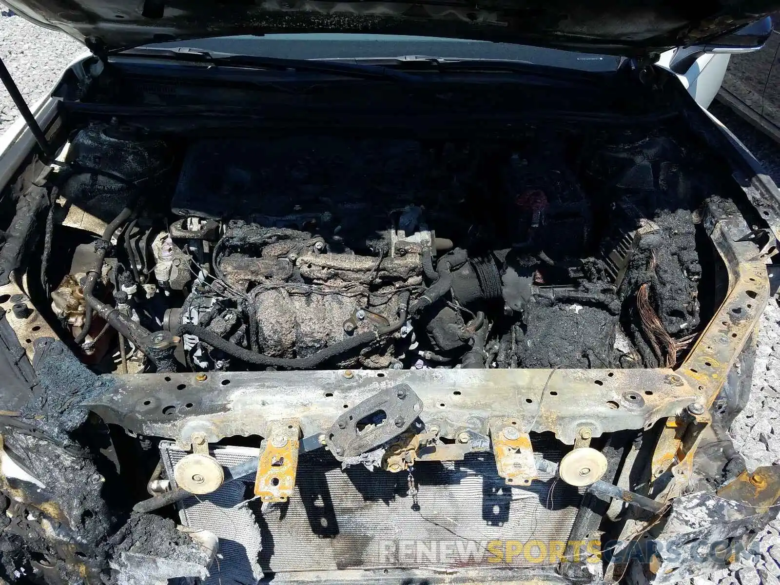 7 Фотография поврежденного автомобиля 4T1B61HK0KU290797 TOYOTA CAMRY 2019