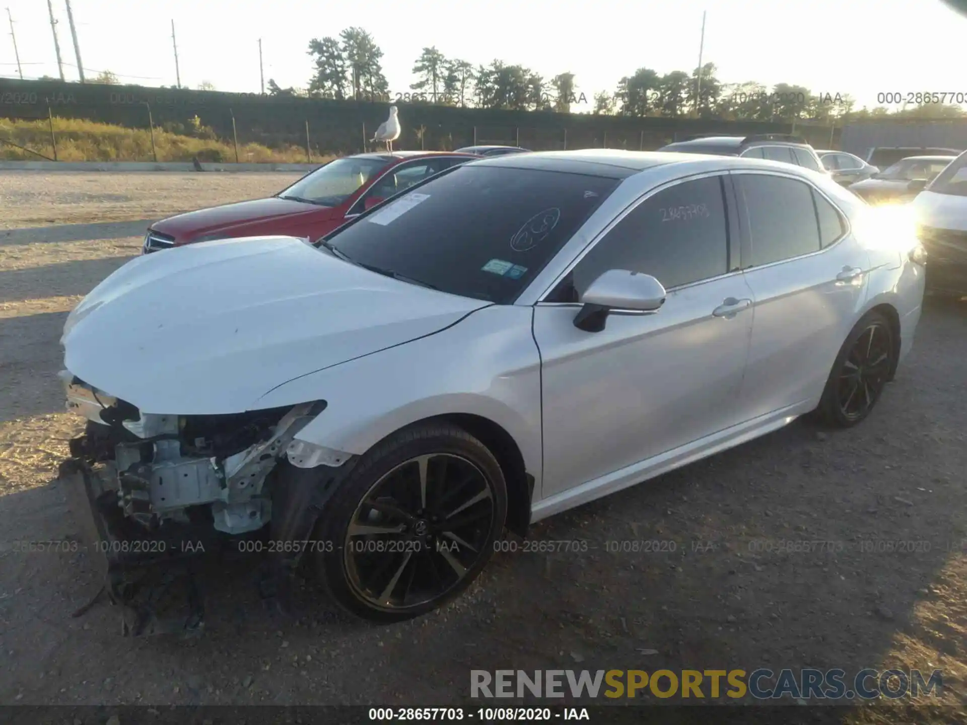 2 Photograph of a damaged car 4T1B61HK1KU834756 TOYOTA CAMRY 2019