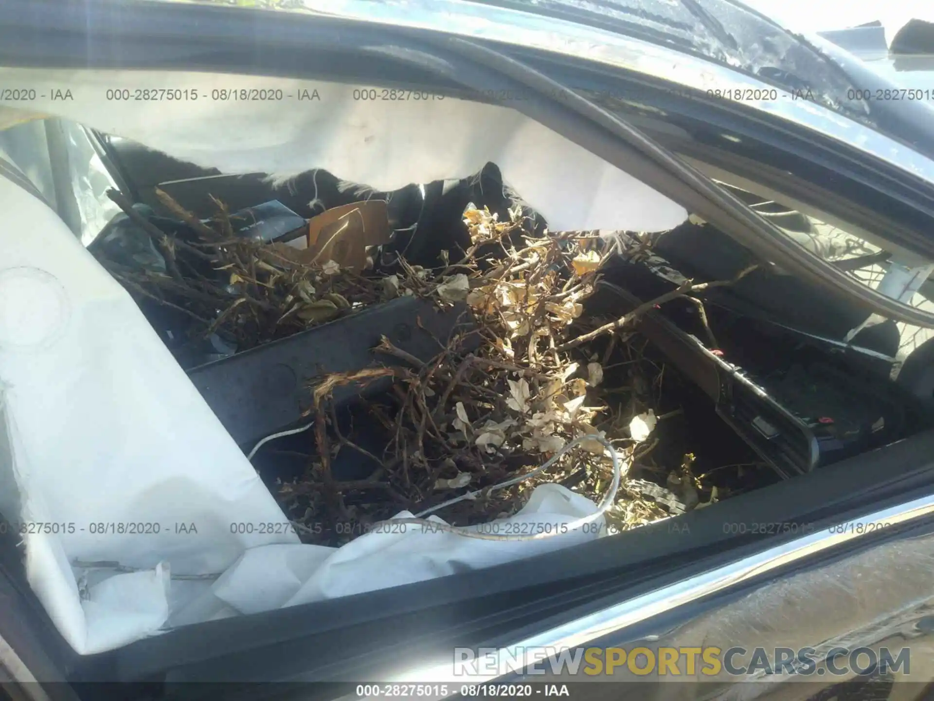 5 Photograph of a damaged car 4T1B61HK3KU795295 TOYOTA CAMRY 2019