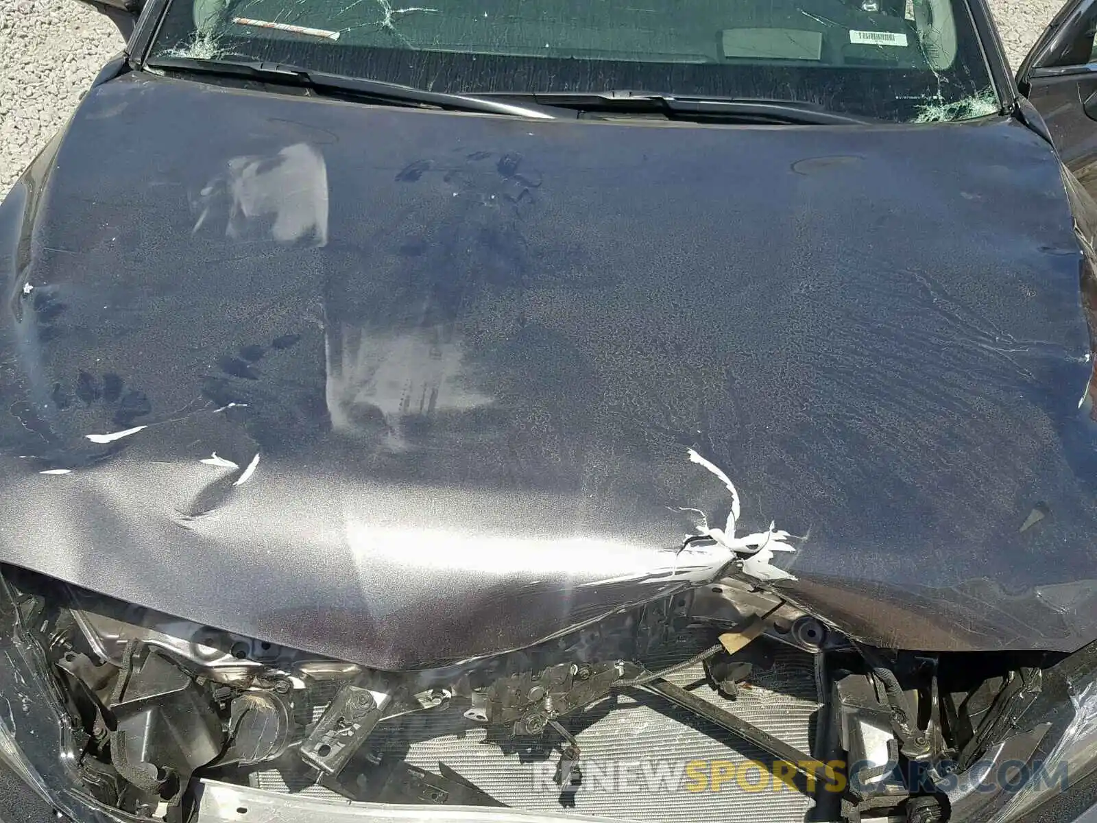 7 Photograph of a damaged car 4T1BZ1HK6KU022148 TOYOTA CAMRY 2019