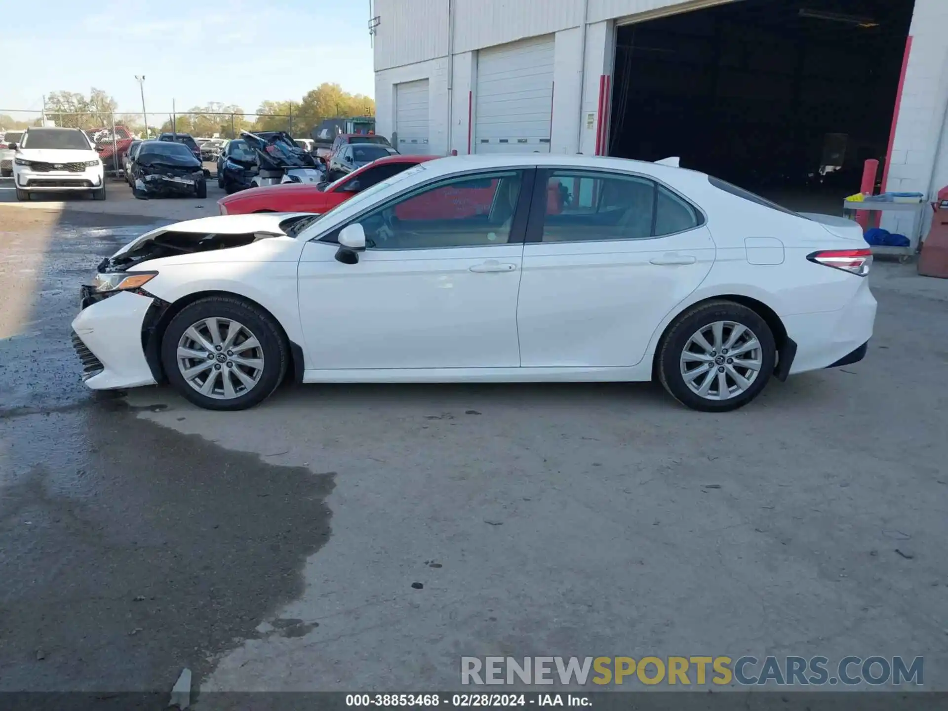 14 Photograph of a damaged car 4T1C11AK0LU908456 TOYOTA CAMRY 2020