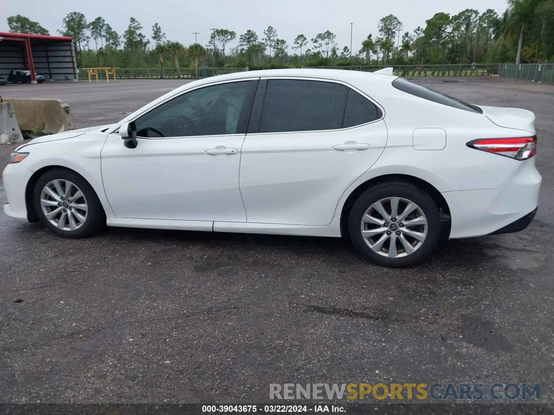 14 Photograph of a damaged car 4T1C11AK2LU984499 TOYOTA CAMRY 2020