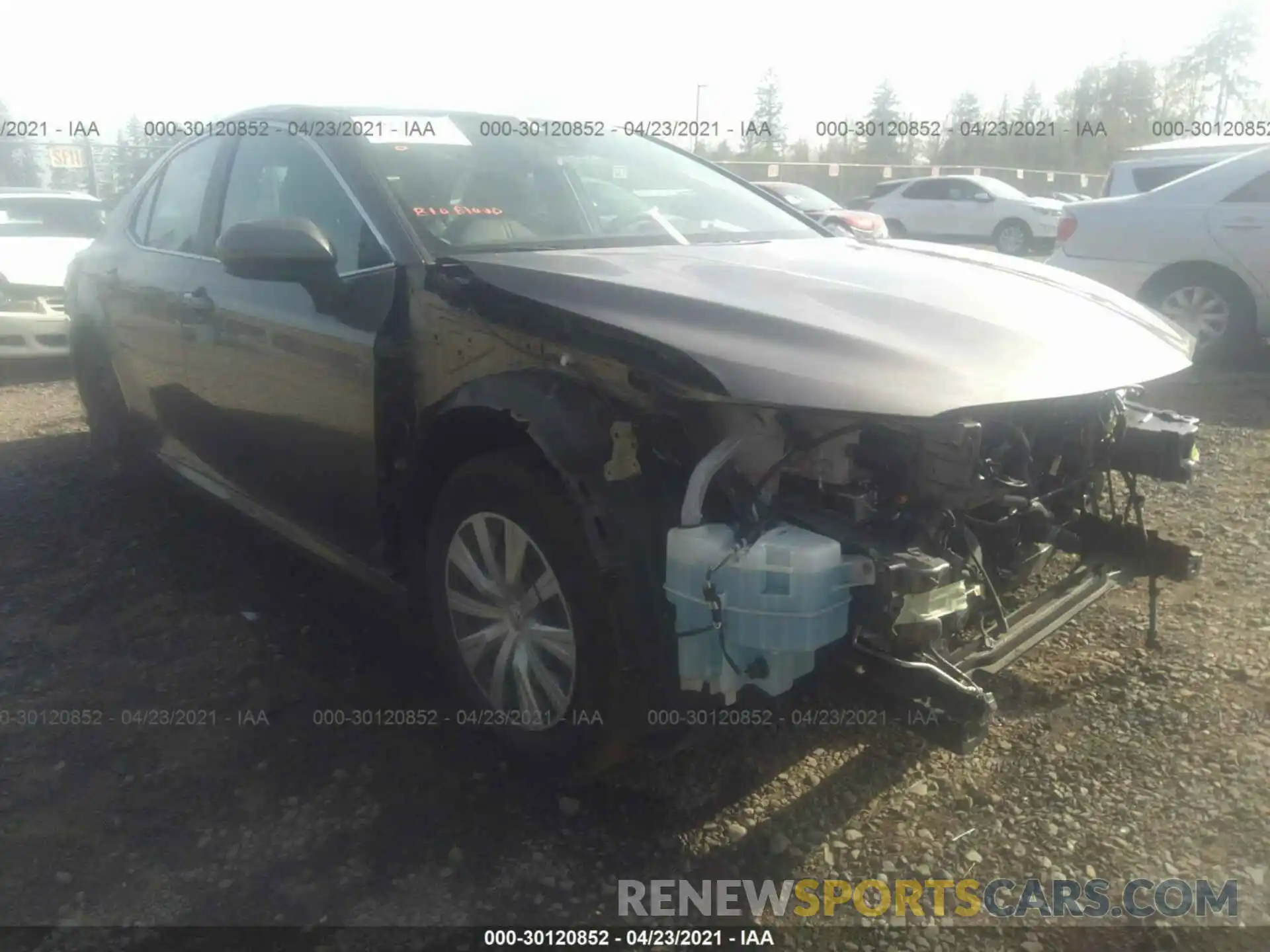 1 Photograph of a damaged car 4T1C31AK0LU537485 TOYOTA CAMRY 2020