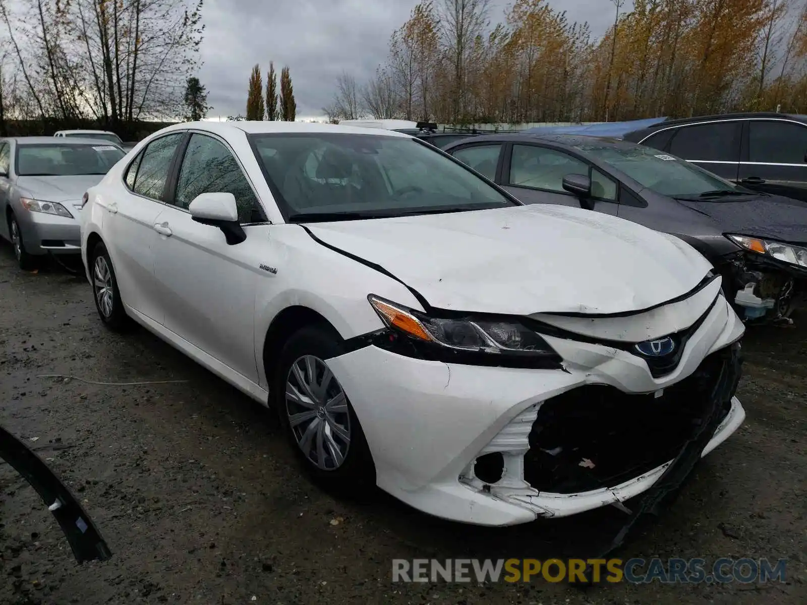 1 Photograph of a damaged car 4T1C31AK1LU543781 TOYOTA CAMRY 2020