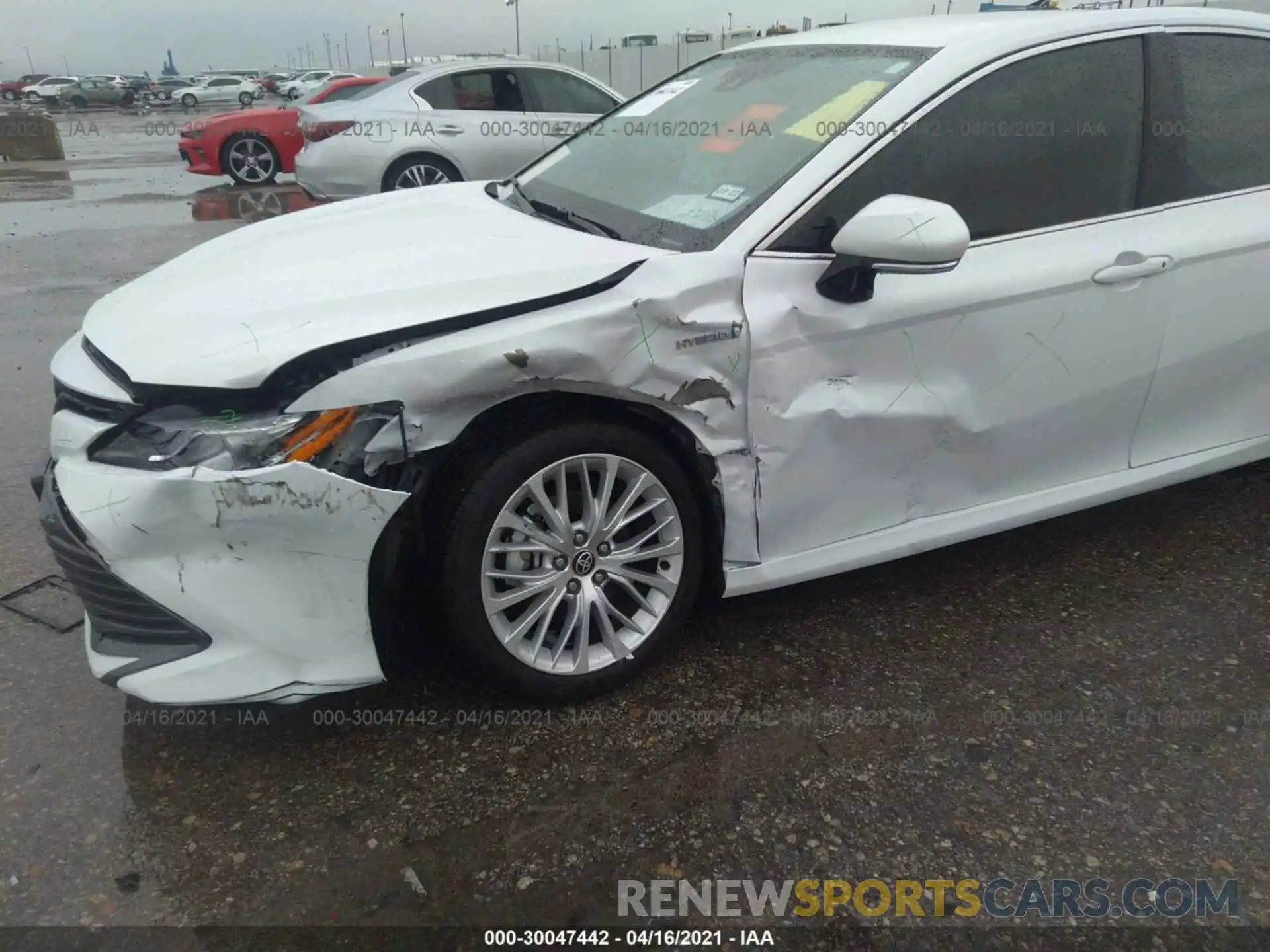 6 Photograph of a damaged car 4T1F31AK0LU538987 TOYOTA CAMRY 2020