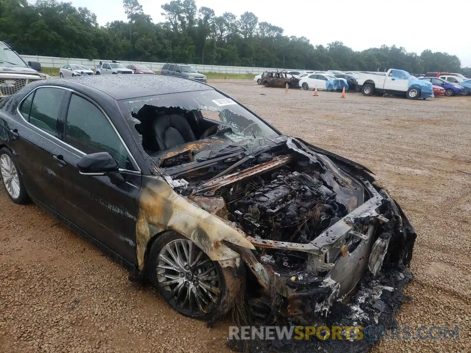 9 Photograph of a damaged car 4T1F31AK4LU520489 TOYOTA CAMRY 2020