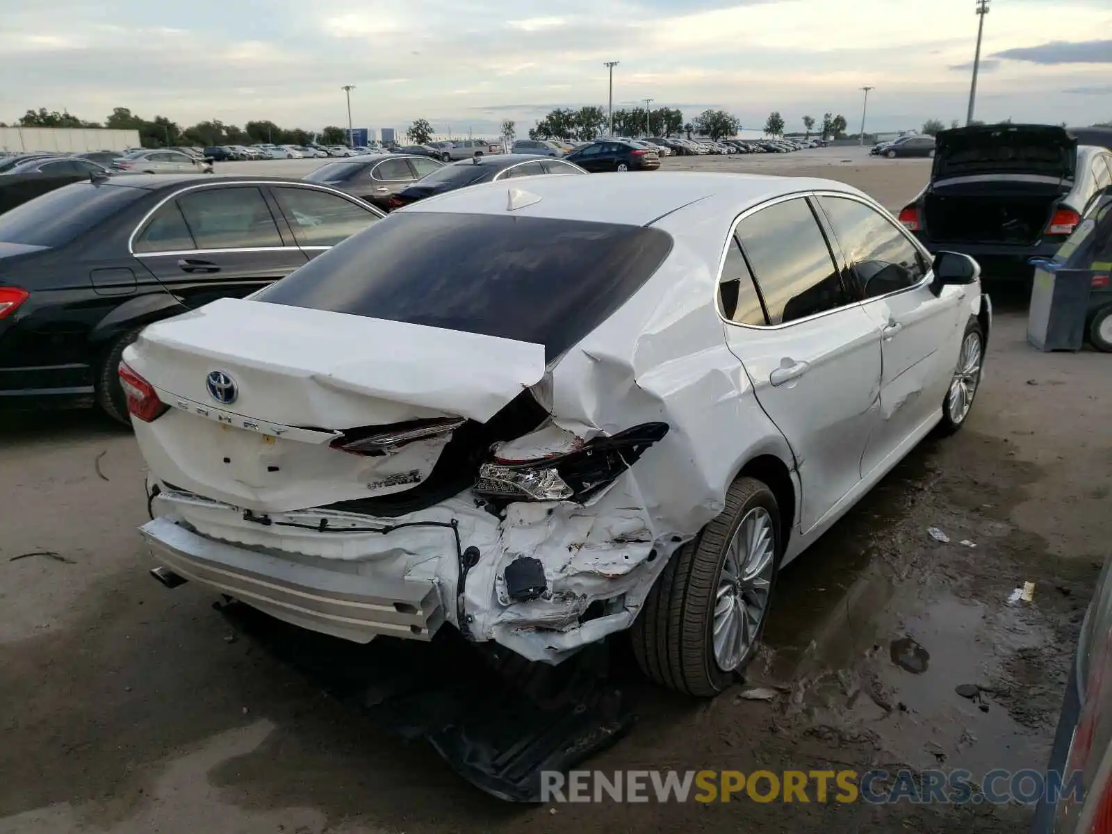 4 Photograph of a damaged car 4T1F31AK5LU530464 TOYOTA CAMRY 2020