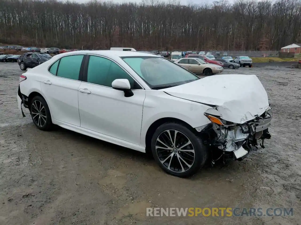 4 Photograph of a damaged car 4T1G11AK1LU322639 TOYOTA CAMRY 2020