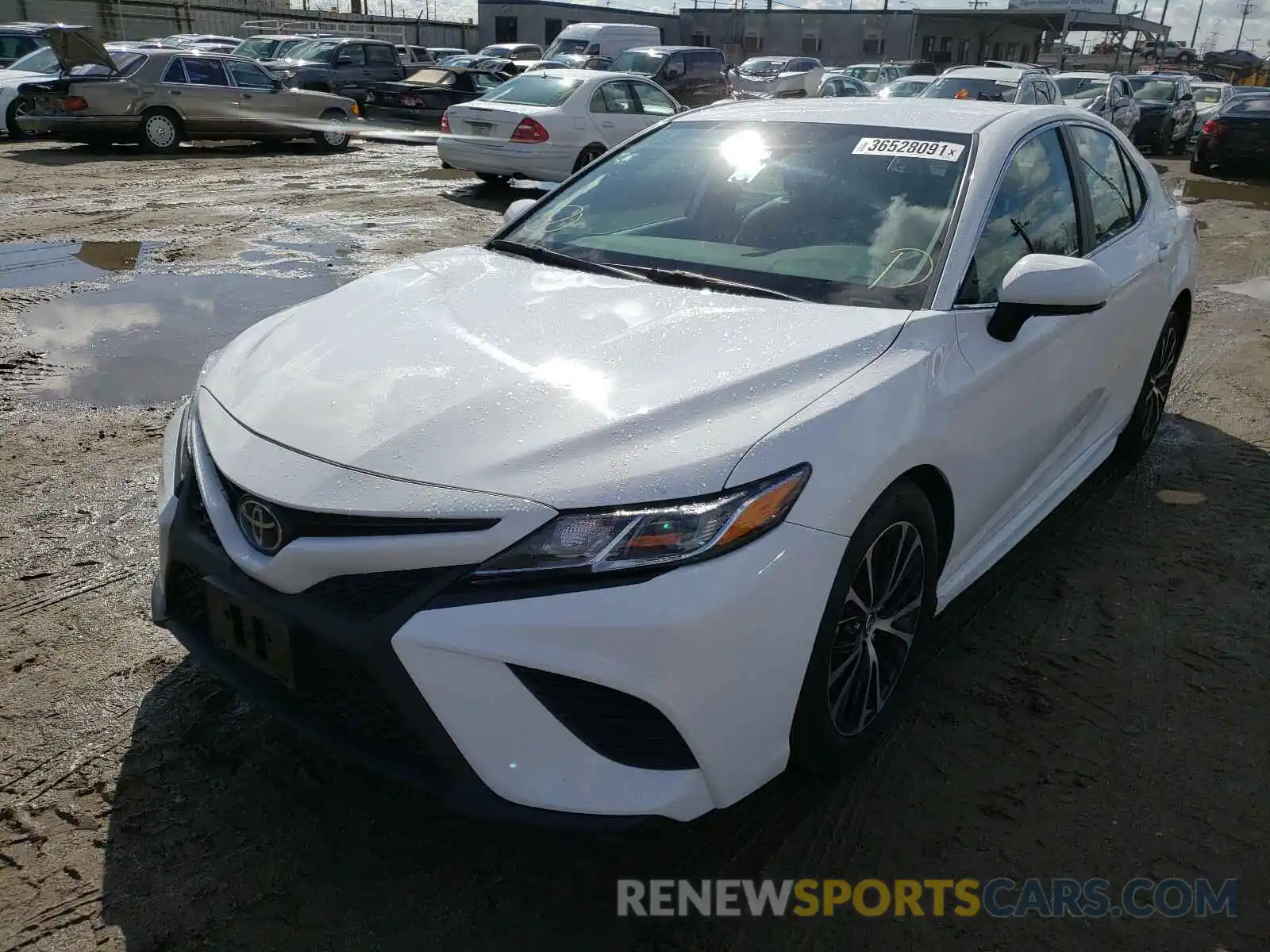 2 Photograph of a damaged car 4T1G11AK1LU931567 TOYOTA CAMRY 2020