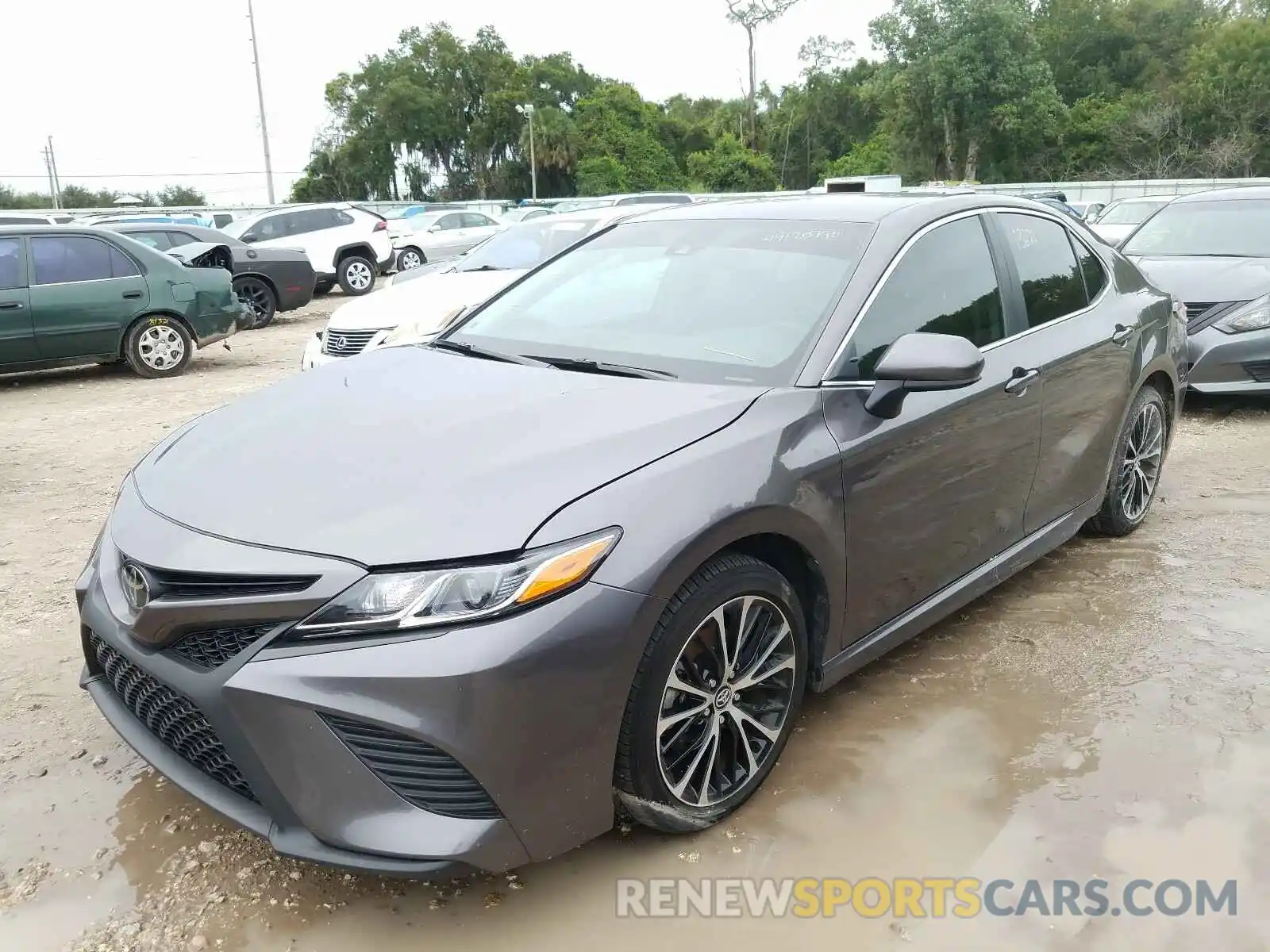 2 Photograph of a damaged car 4T1G11AK2LU323217 TOYOTA CAMRY 2020