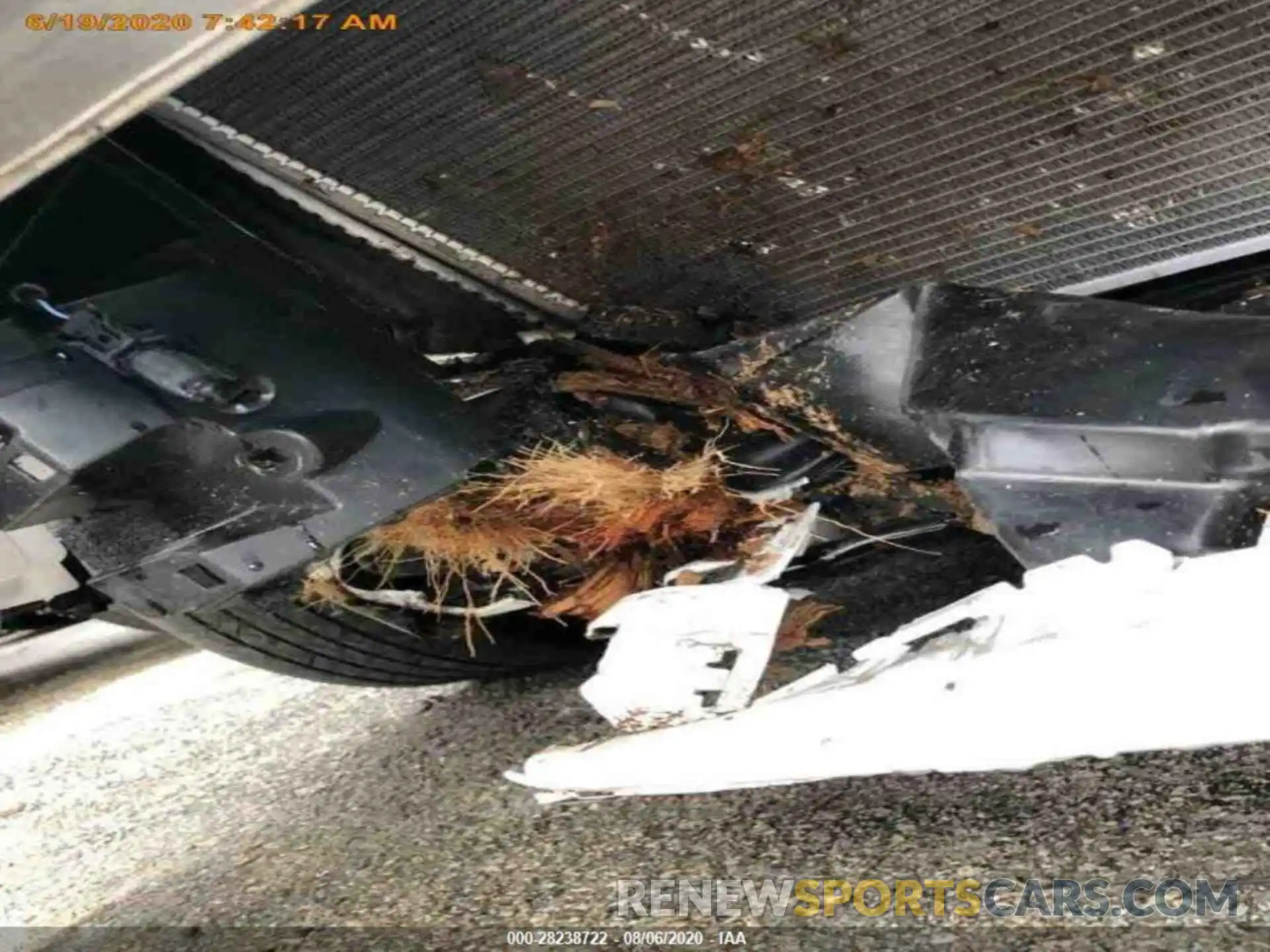 7 Photograph of a damaged car 4T1G11AK4LU890528 TOYOTA CAMRY 2020