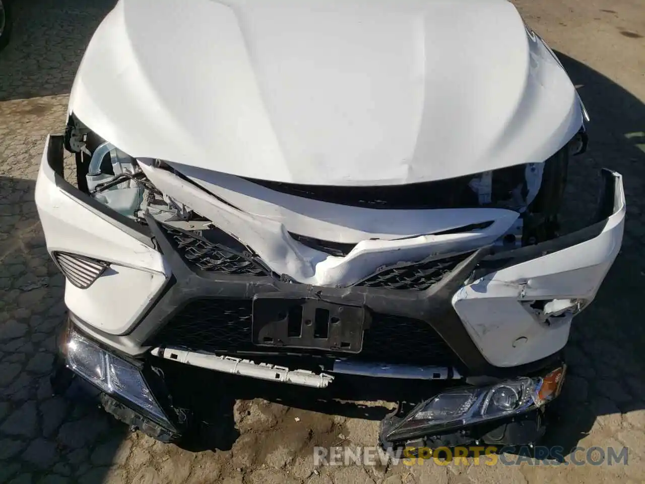 9 Photograph of a damaged car 4T1G11AK8LU980426 TOYOTA CAMRY 2020