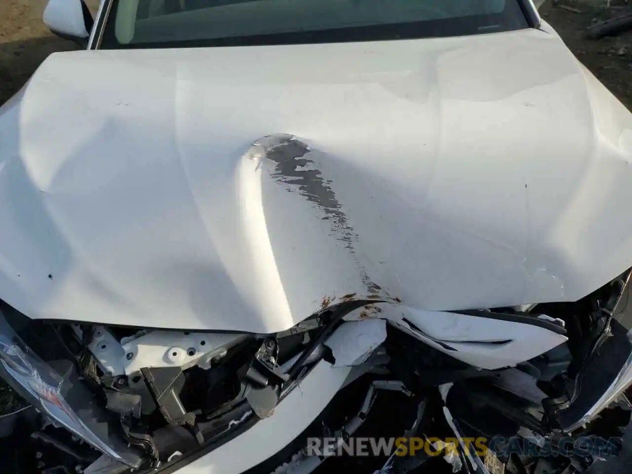 11 Photograph of a damaged car 4T1G11AKXLU401629 TOYOTA CAMRY 2020