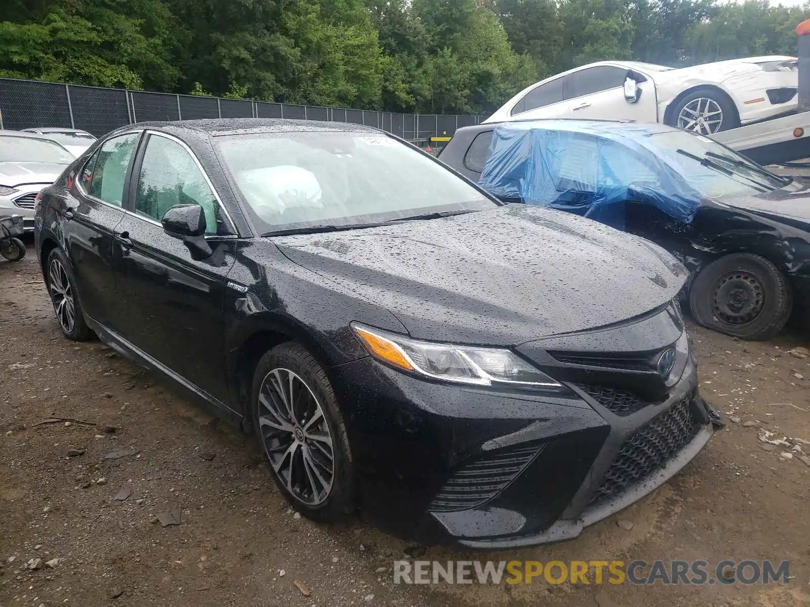 1 Photograph of a damaged car 4T1G31AK0LU015019 TOYOTA CAMRY 2020