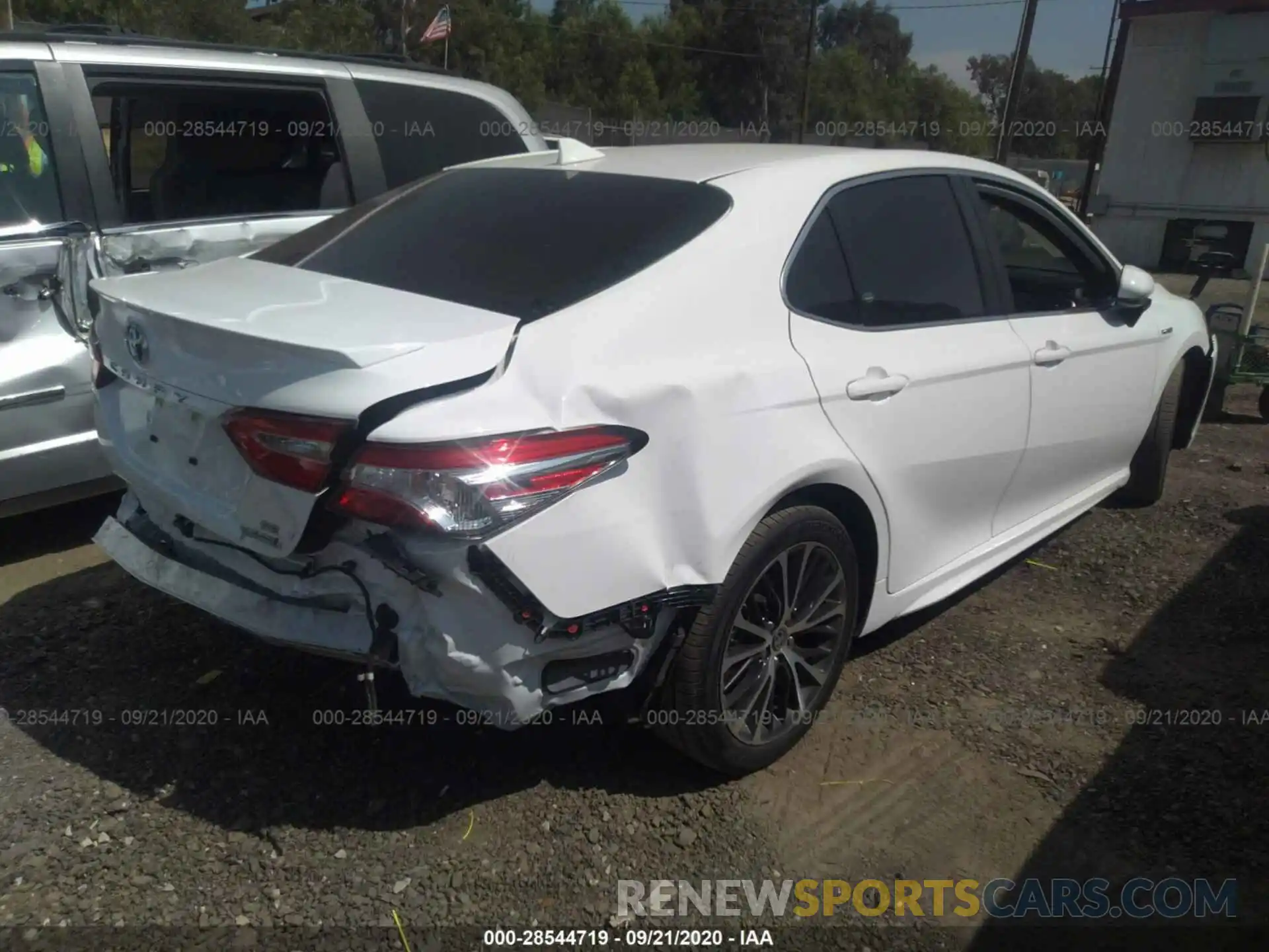 4 Photograph of a damaged car 4T1G31AK0LU015604 TOYOTA CAMRY 2020