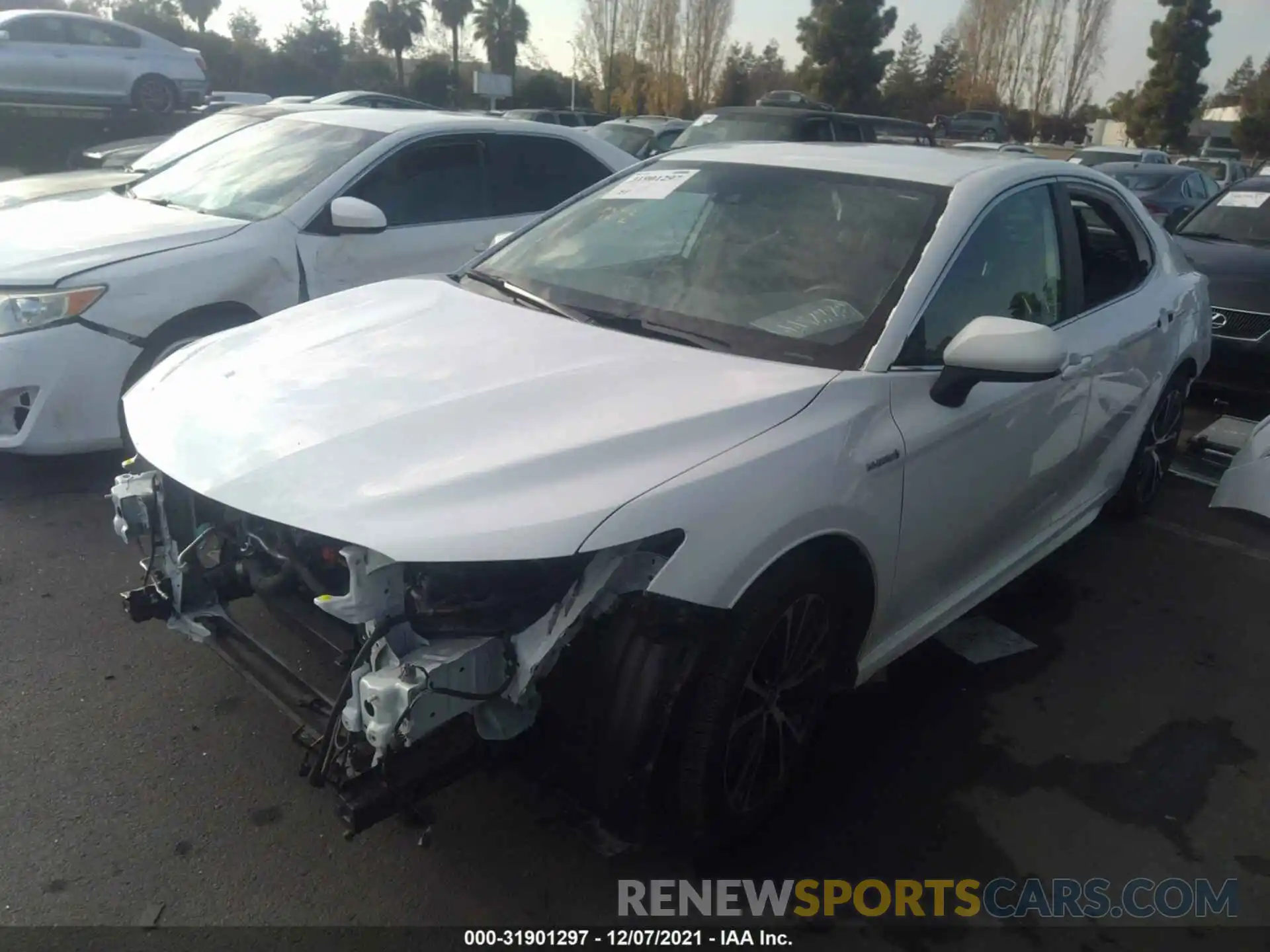 2 Photograph of a damaged car 4T1G31AK2LU545587 TOYOTA CAMRY 2020