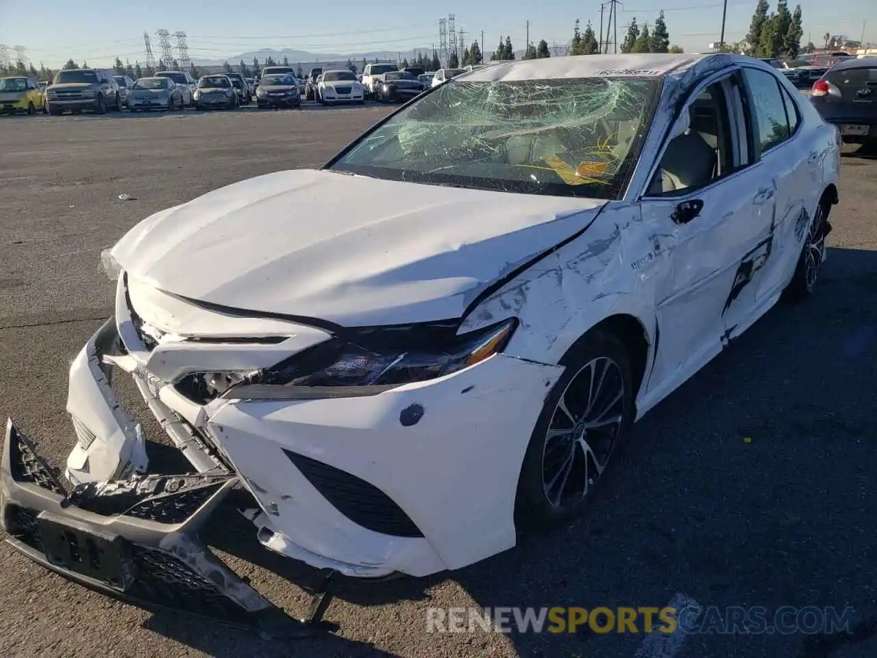 2 Photograph of a damaged car 4T1G31AK6LU014604 TOYOTA CAMRY 2020