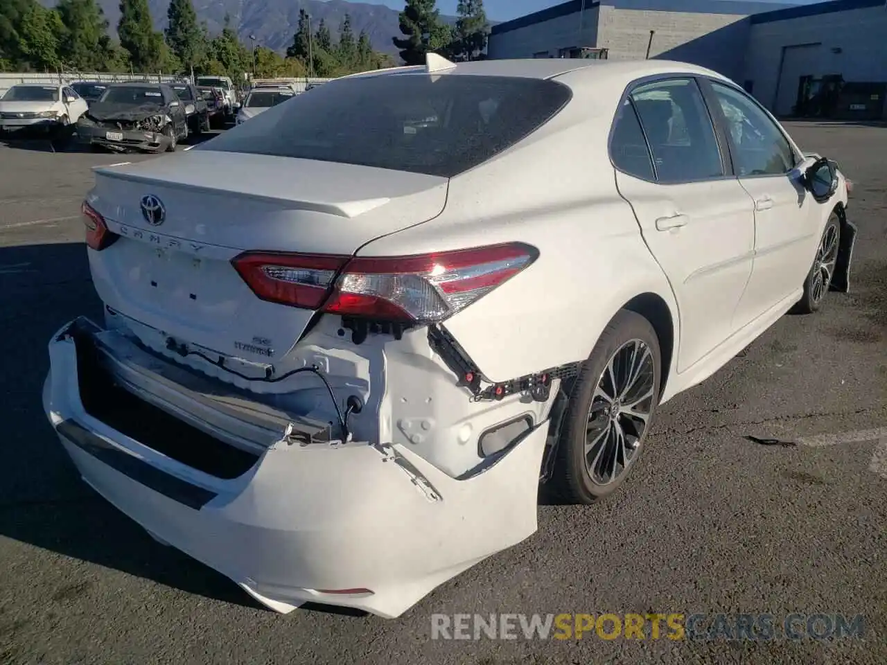 4 Photograph of a damaged car 4T1G31AK6LU014604 TOYOTA CAMRY 2020