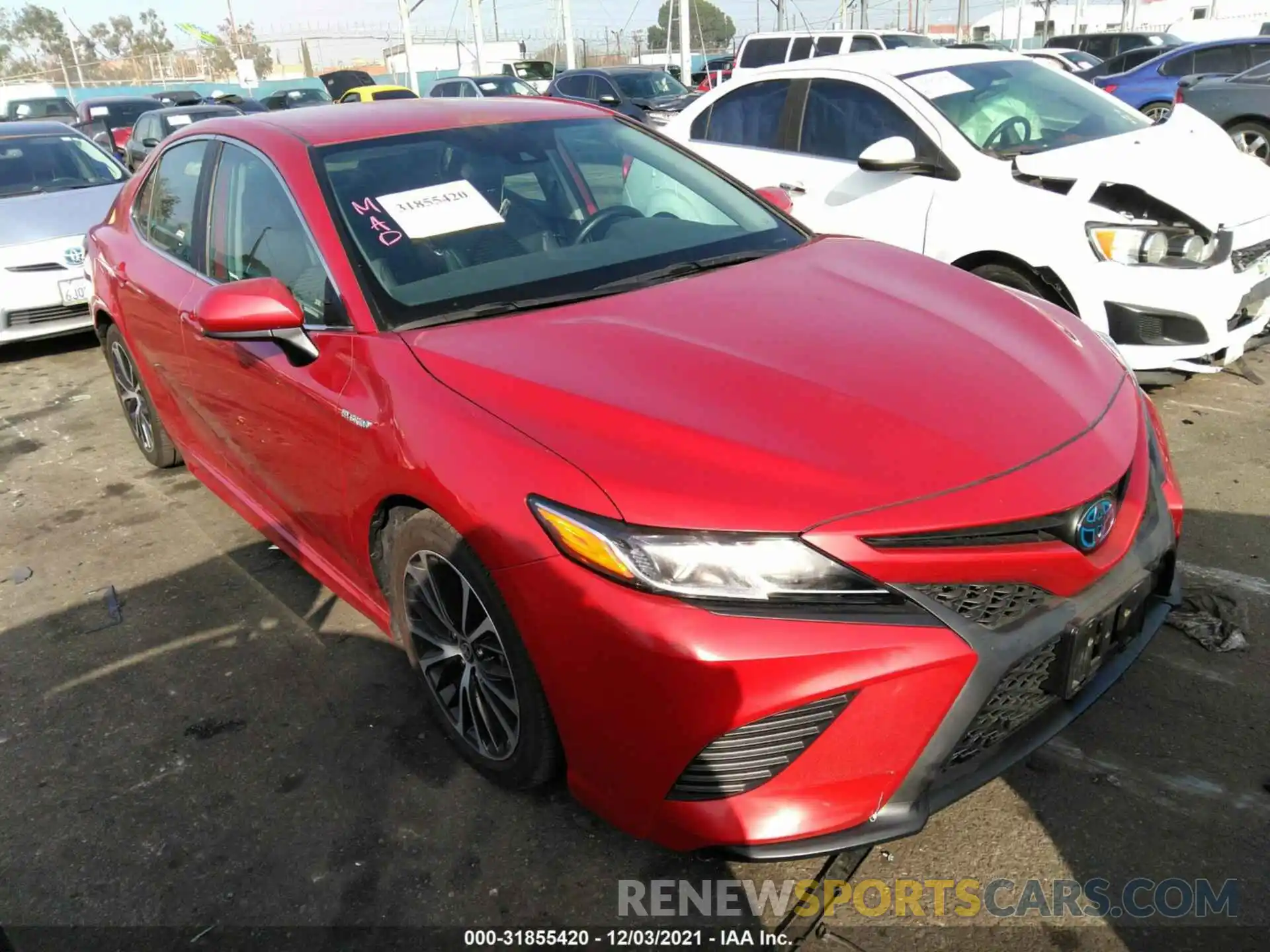 1 Photograph of a damaged car 4T1G31AK9LU014645 TOYOTA CAMRY 2020