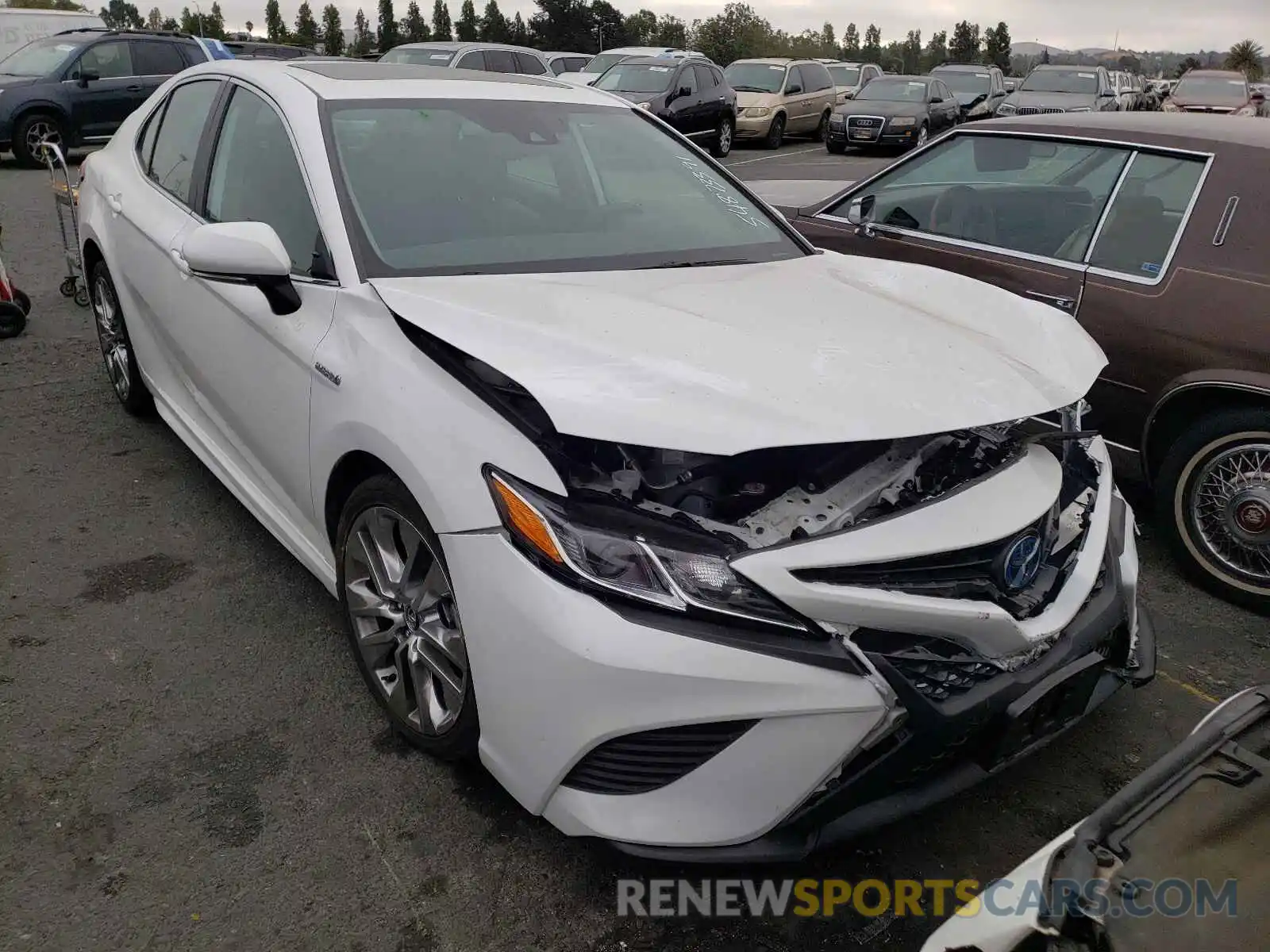 1 Photograph of a damaged car 4T1J31AK7LU521789 TOYOTA CAMRY 2020