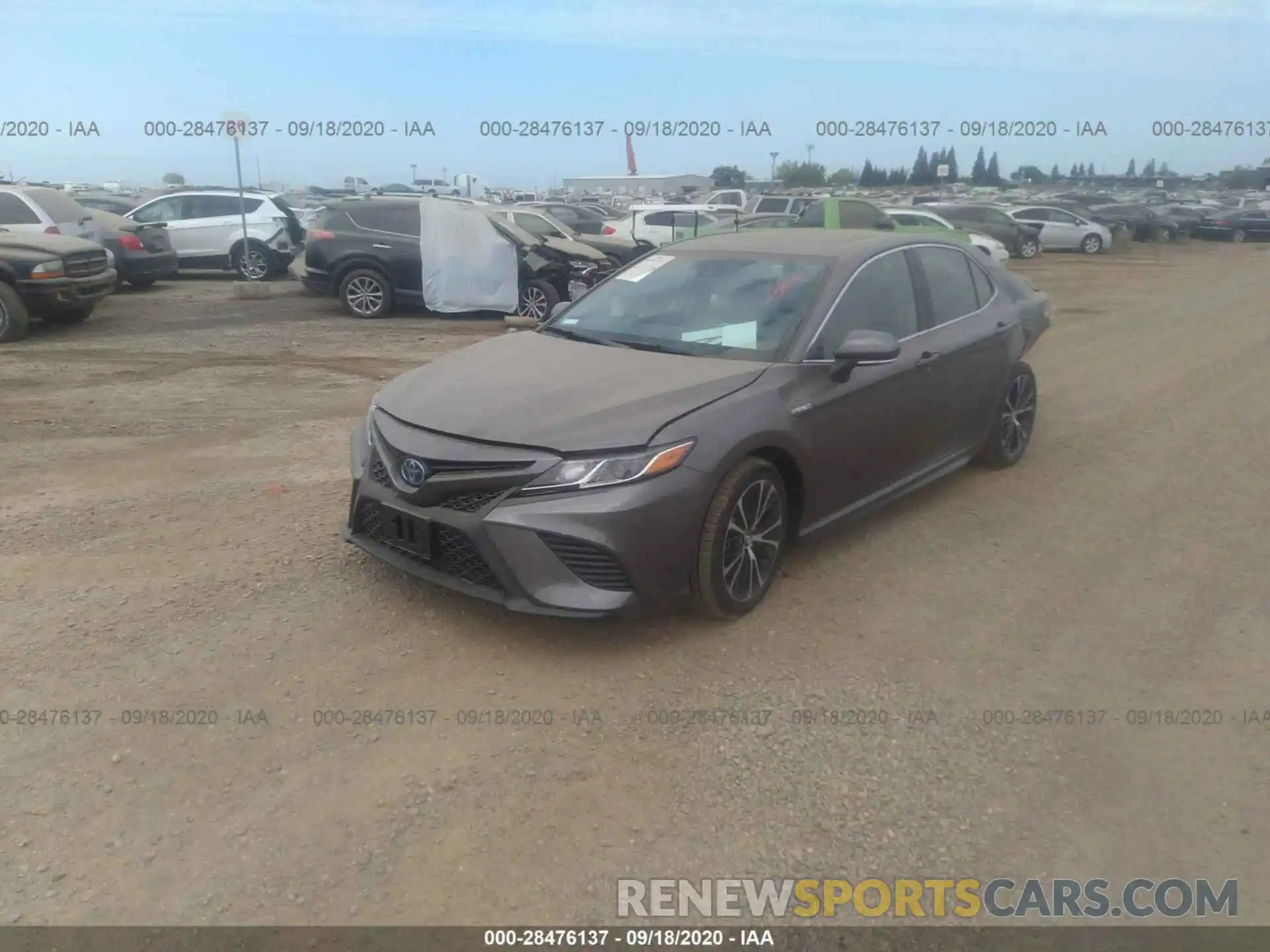 2 Photograph of a damaged car 4T1J31AK9LU528310 TOYOTA CAMRY 2020