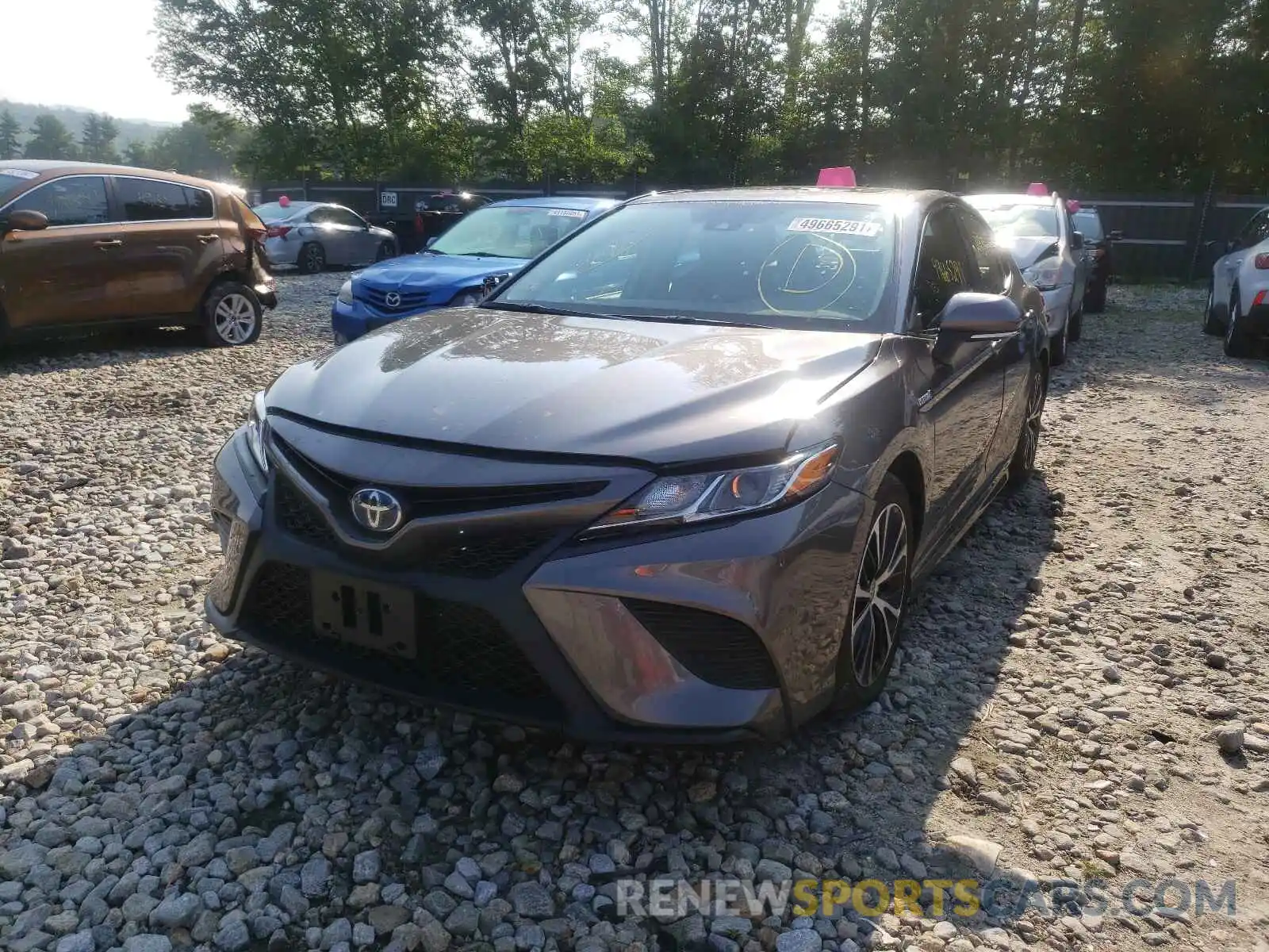 2 Photograph of a damaged car 4T1J31AK9LU545799 TOYOTA CAMRY 2020