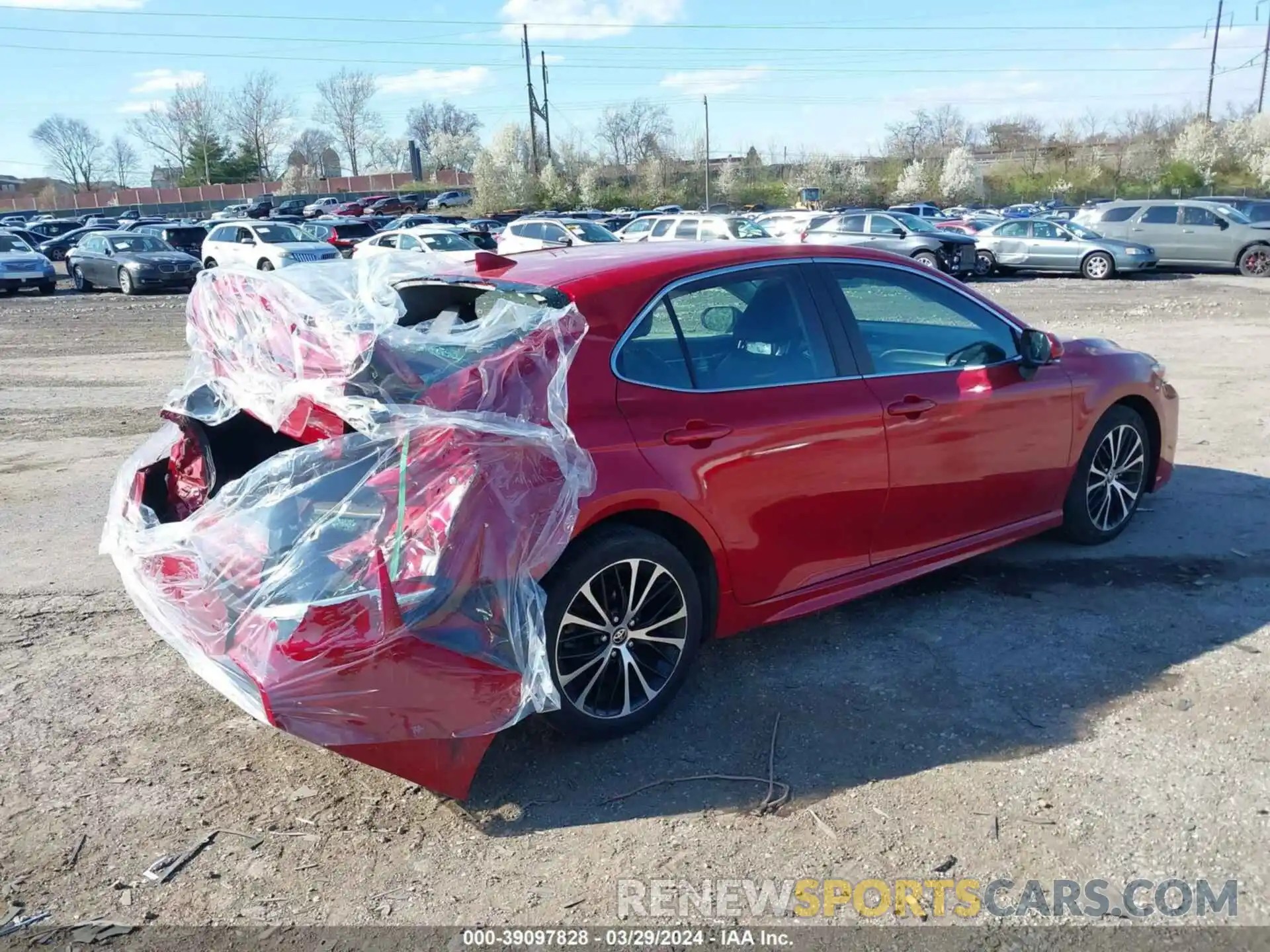 4 Photograph of a damaged car 4T1M11AK5LU389599 TOYOTA CAMRY 2020