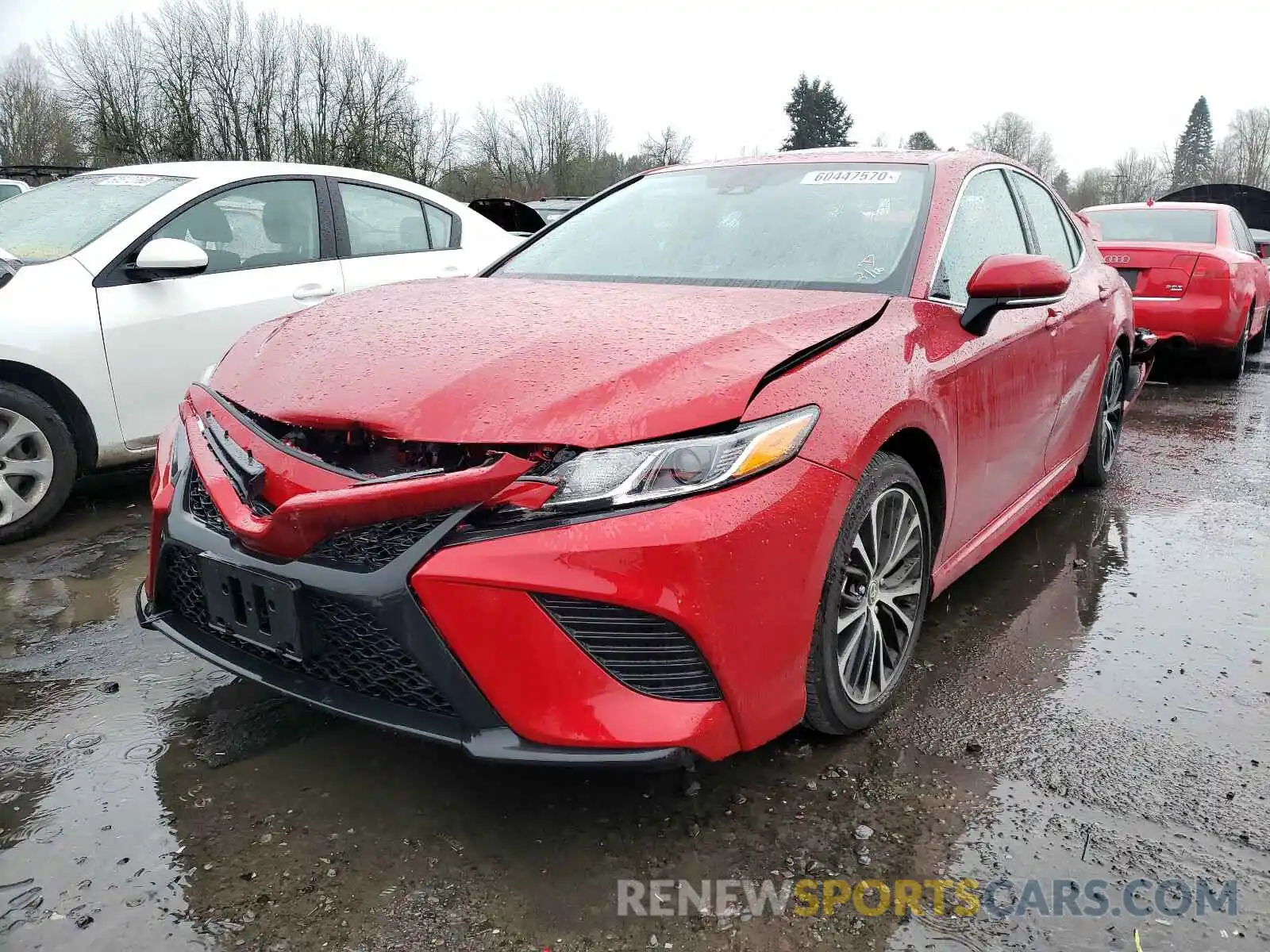 2 Photograph of a damaged car 4T1M11AK6LU362024 TOYOTA CAMRY 2020