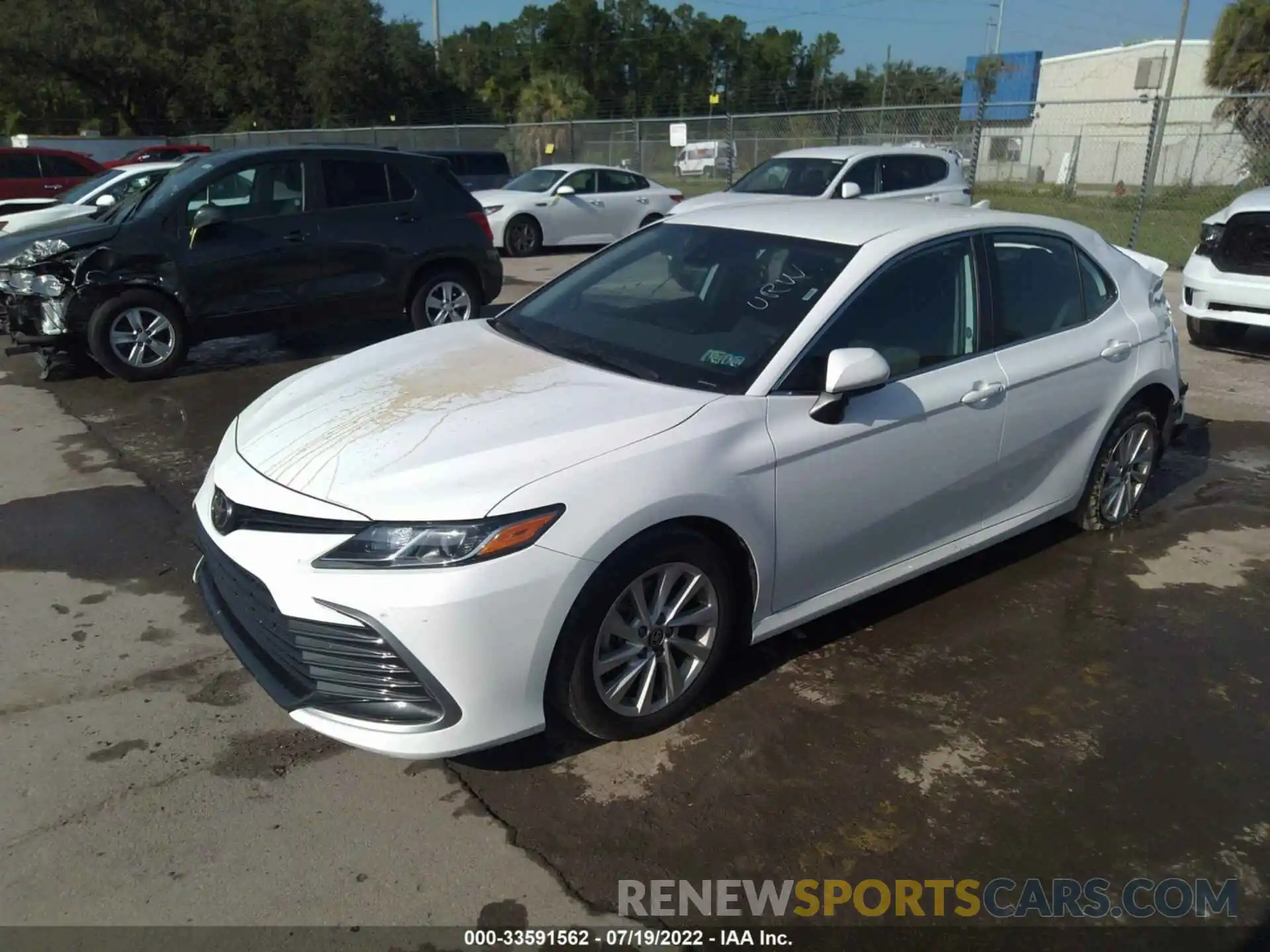 2 Photograph of a damaged car 4T1C11AK2MU589949 TOYOTA CAMRY 2021