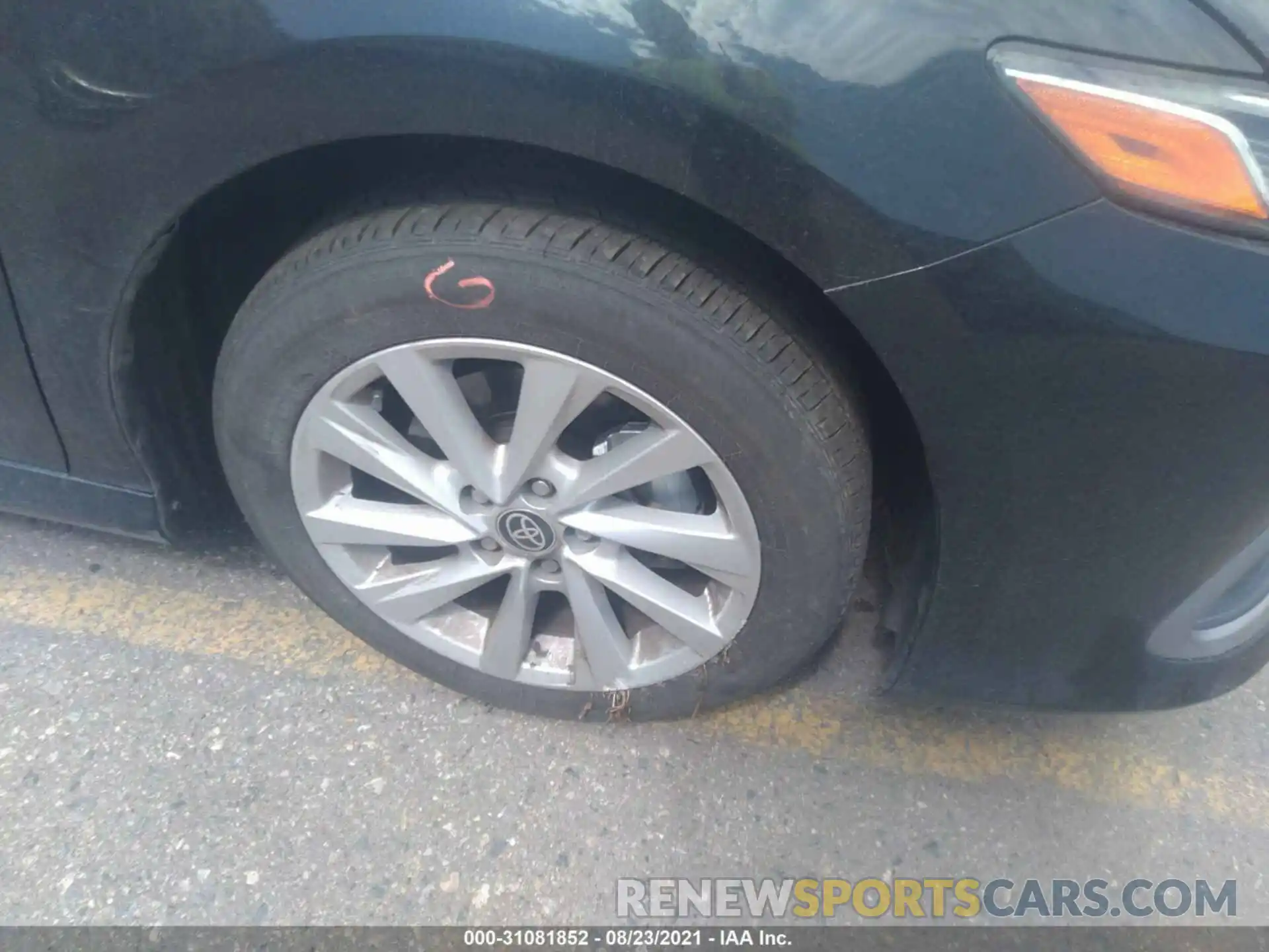 12 Photograph of a damaged car 4T1C11AK9MU463541 TOYOTA CAMRY 2021