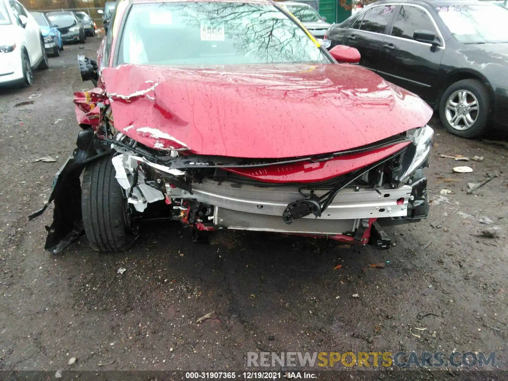 6 Photograph of a damaged car 4T1C11BK2MU024356 TOYOTA CAMRY 2021