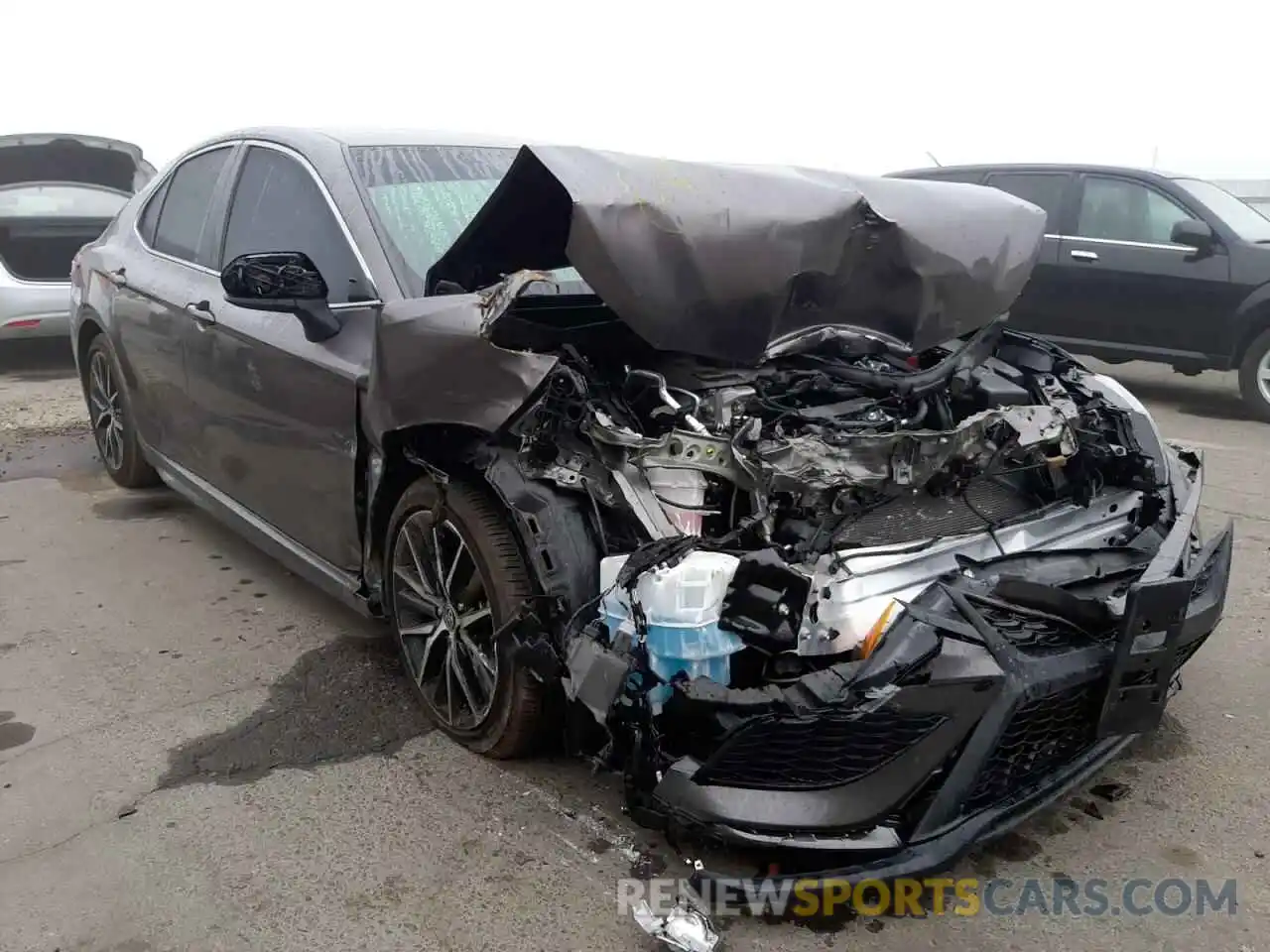 1 Photograph of a damaged car 4T1G11AK0MU446192 TOYOTA CAMRY 2021