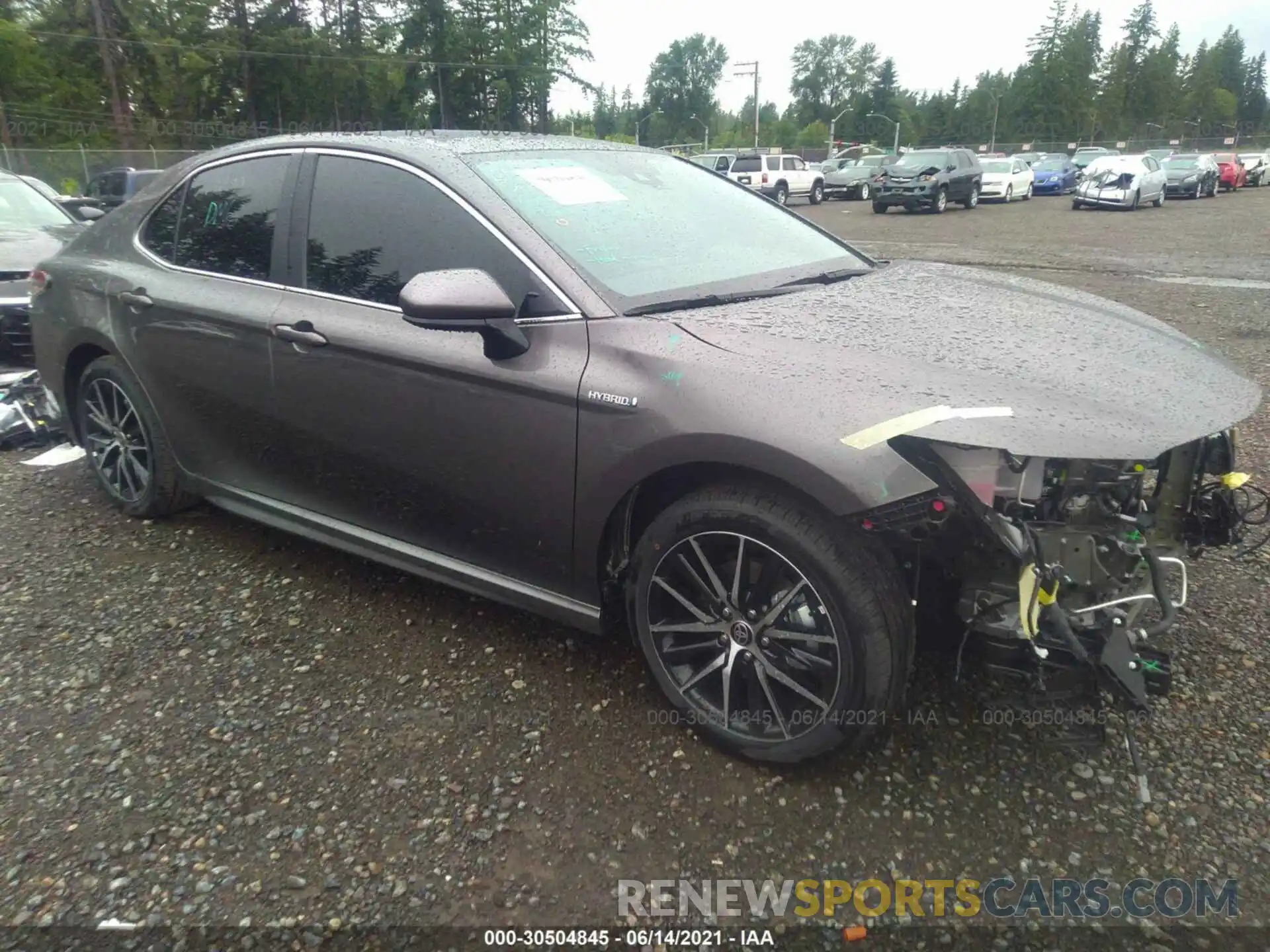 1 Photograph of a damaged car 4T1G31AK1MU557151 TOYOTA CAMRY 2021