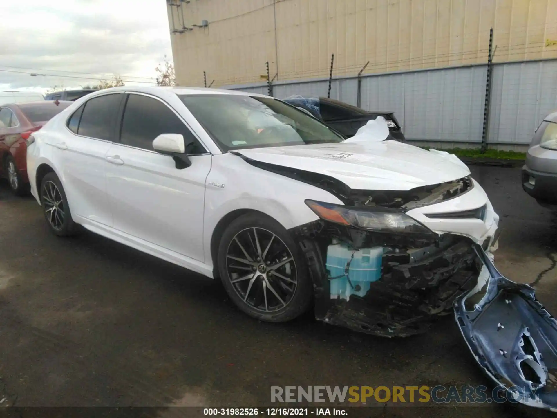 1 Photograph of a damaged car 4T1G31AK1MU564147 TOYOTA CAMRY 2021