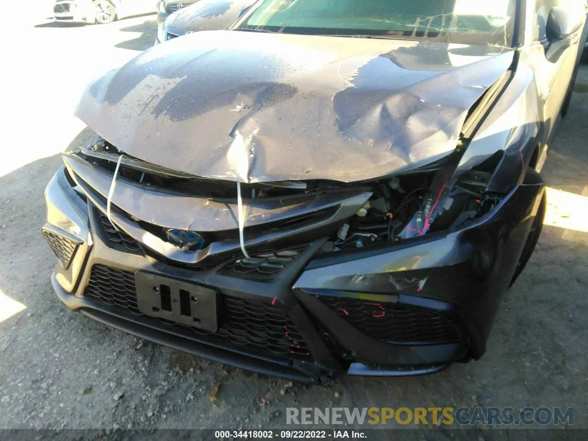 6 Photograph of a damaged car 4T1G31AK3MU565025 TOYOTA CAMRY 2021