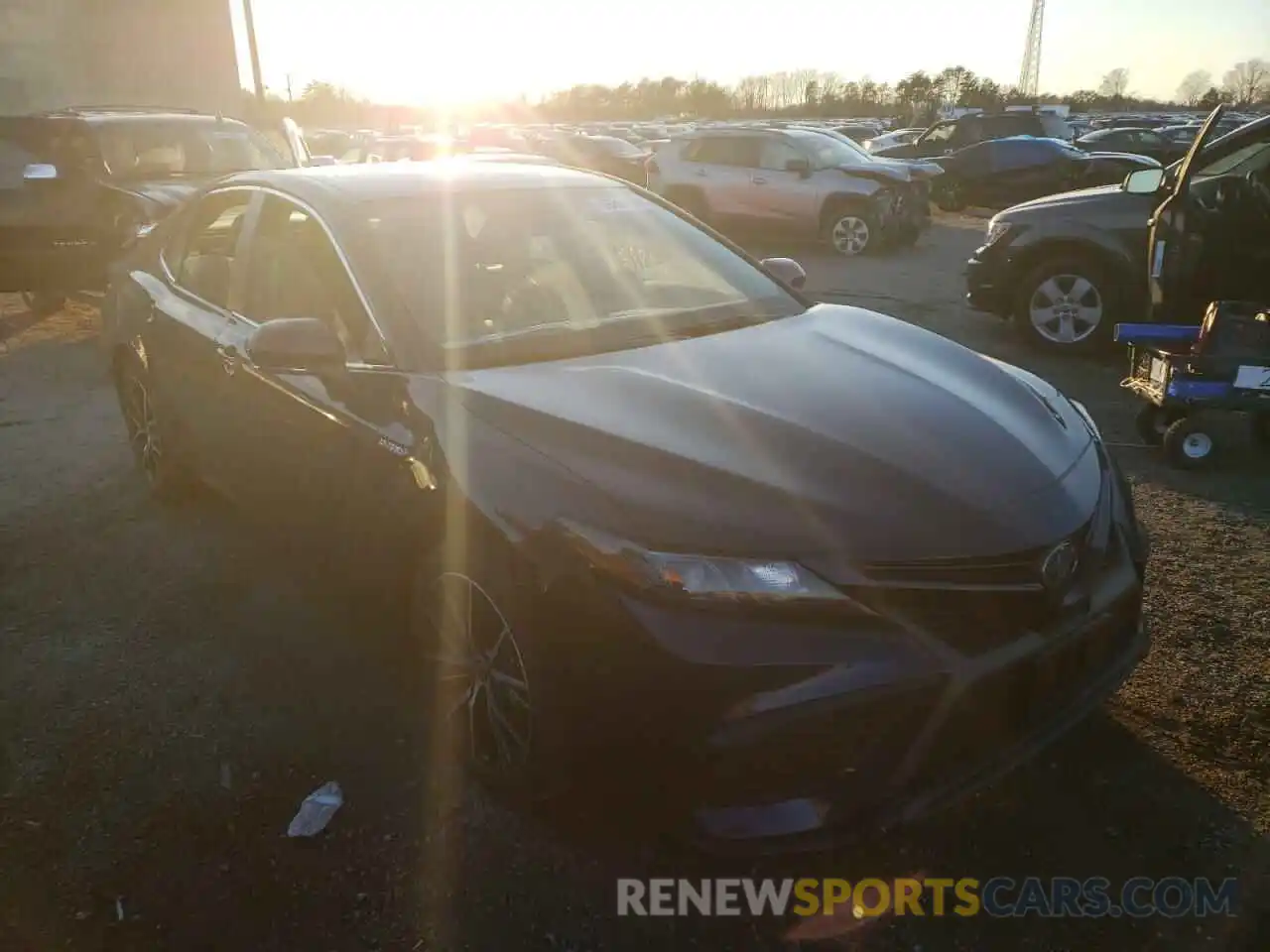 1 Photograph of a damaged car 4T1G31AK5MU029516 TOYOTA CAMRY 2021