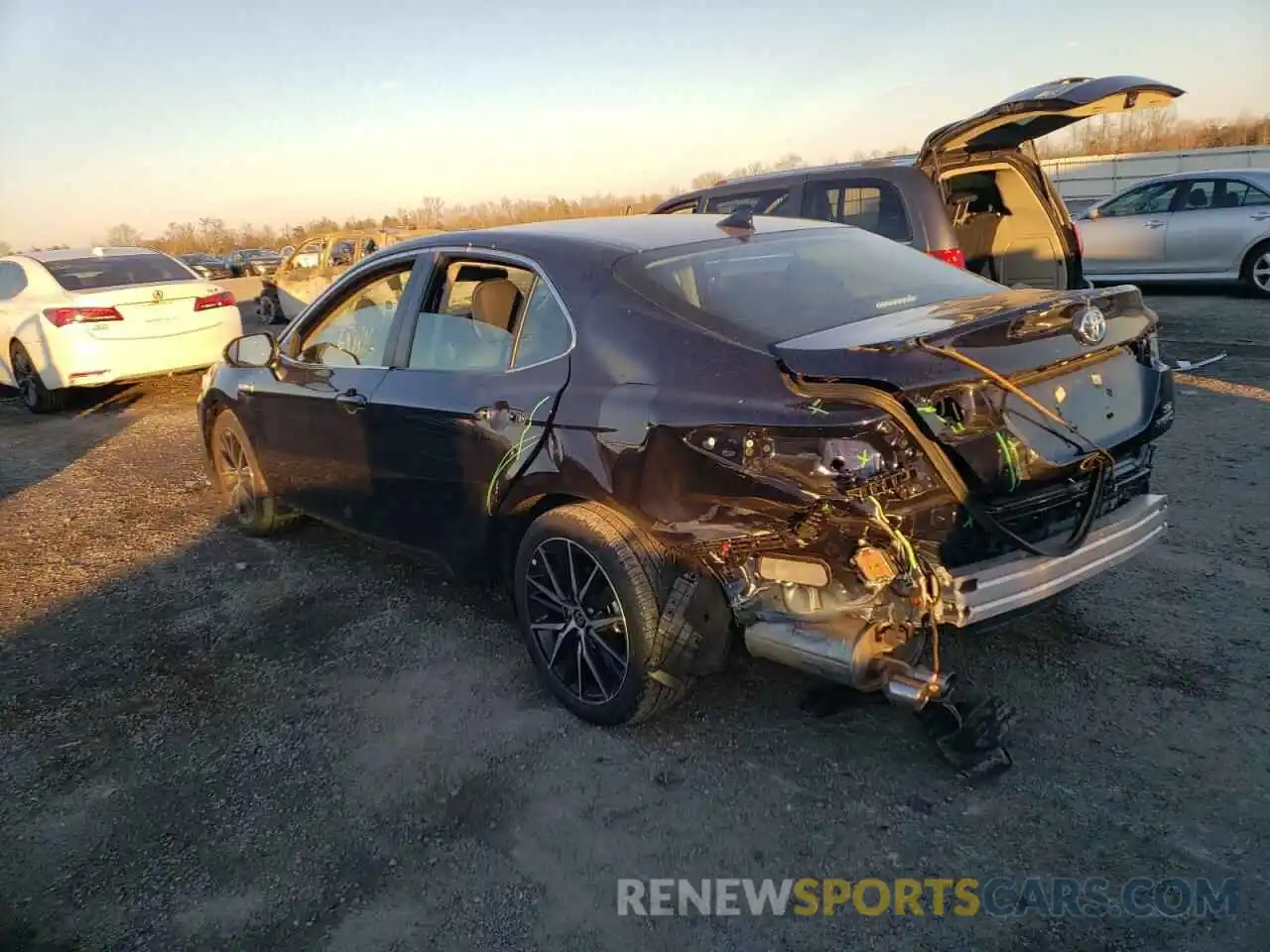 3 Photograph of a damaged car 4T1G31AK5MU029516 TOYOTA CAMRY 2021