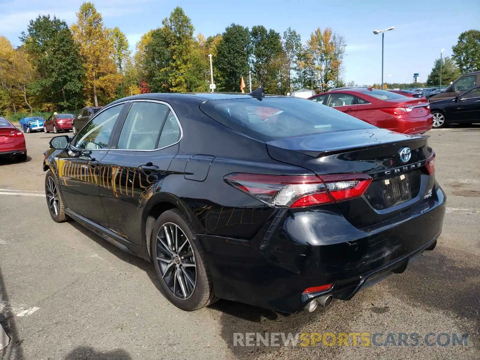 3 Photograph of a damaged car 4T1G31AK5MU557234 TOYOTA CAMRY 2021