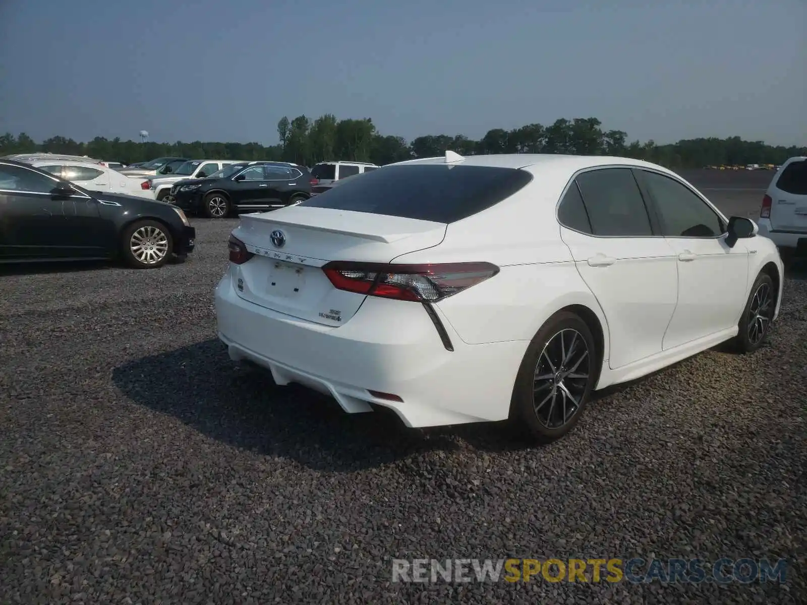 4 Photograph of a damaged car 4T1G31AK9MU552165 TOYOTA CAMRY 2021