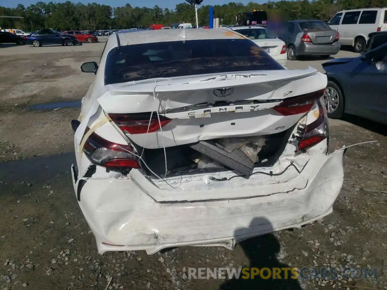 9 Photograph of a damaged car 4T1T11AK9MU558407 TOYOTA CAMRY 2021