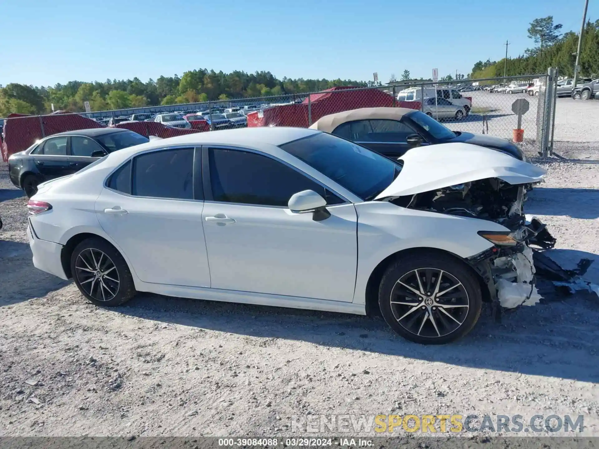 12 Photograph of a damaged car 4T1T11AK0NU655464 TOYOTA CAMRY 2022