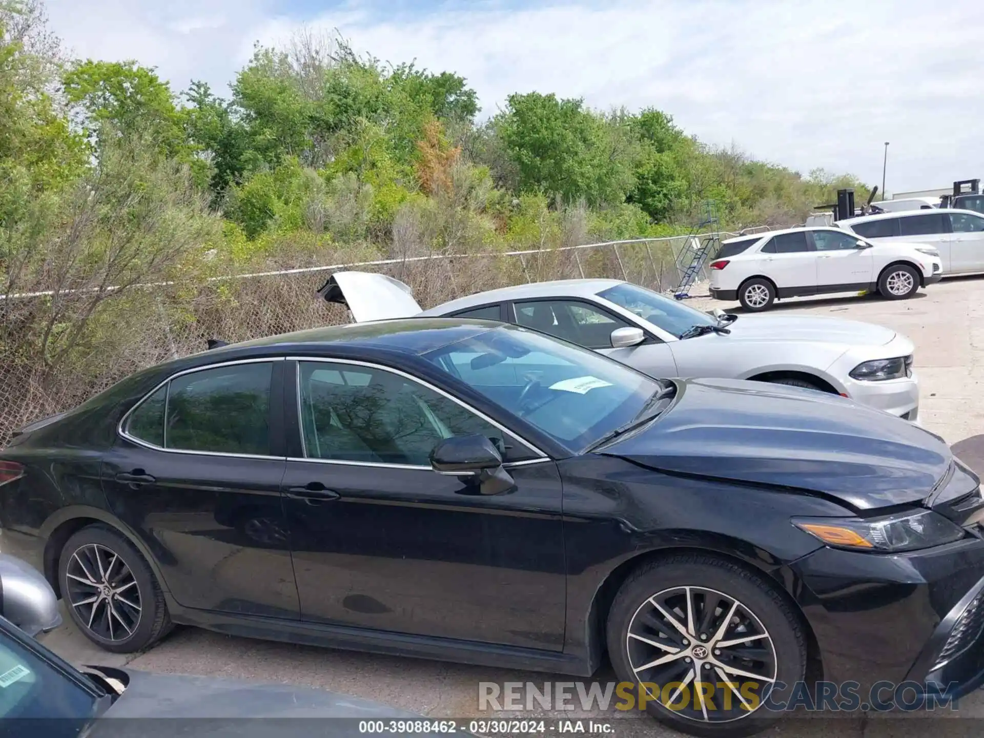 14 Photograph of a damaged car 4T1G11AK0PU769081 TOYOTA CAMRY 2023