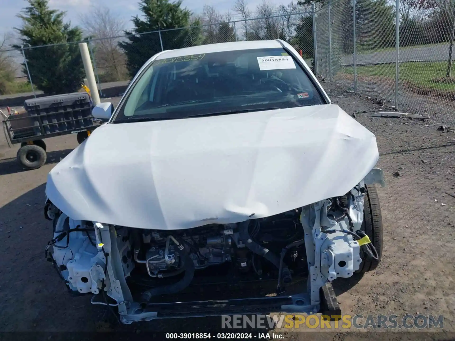 12 Photograph of a damaged car 4T1G11AK5PU794137 TOYOTA CAMRY 2023