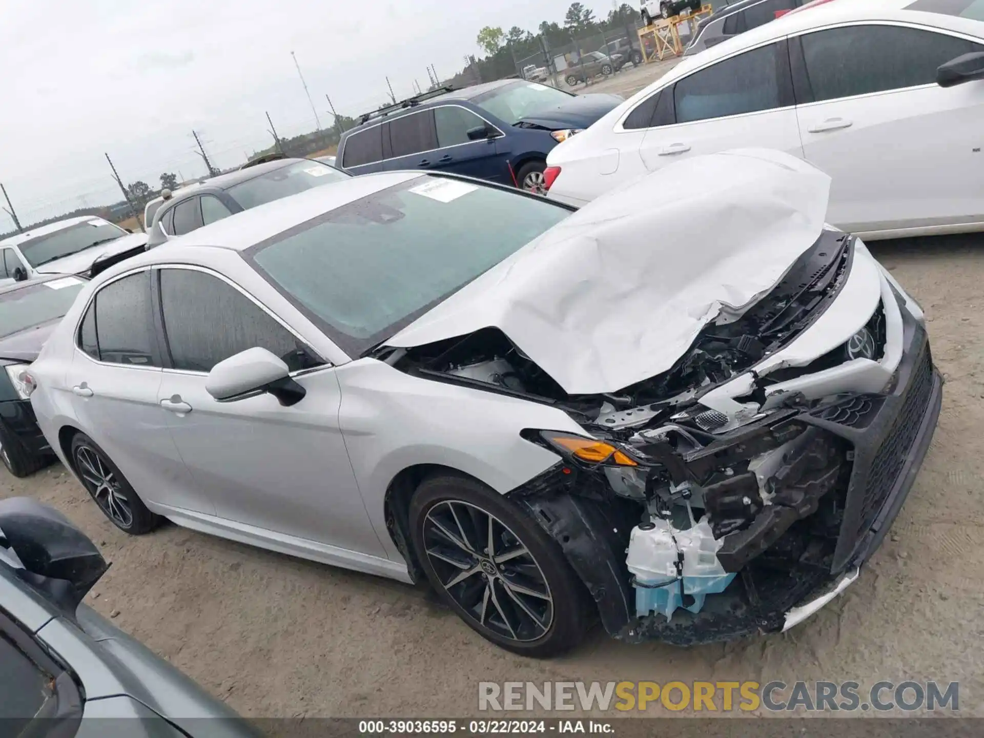 12 Photograph of a damaged car 4T1T11AK6PU135420 TOYOTA CAMRY 2023