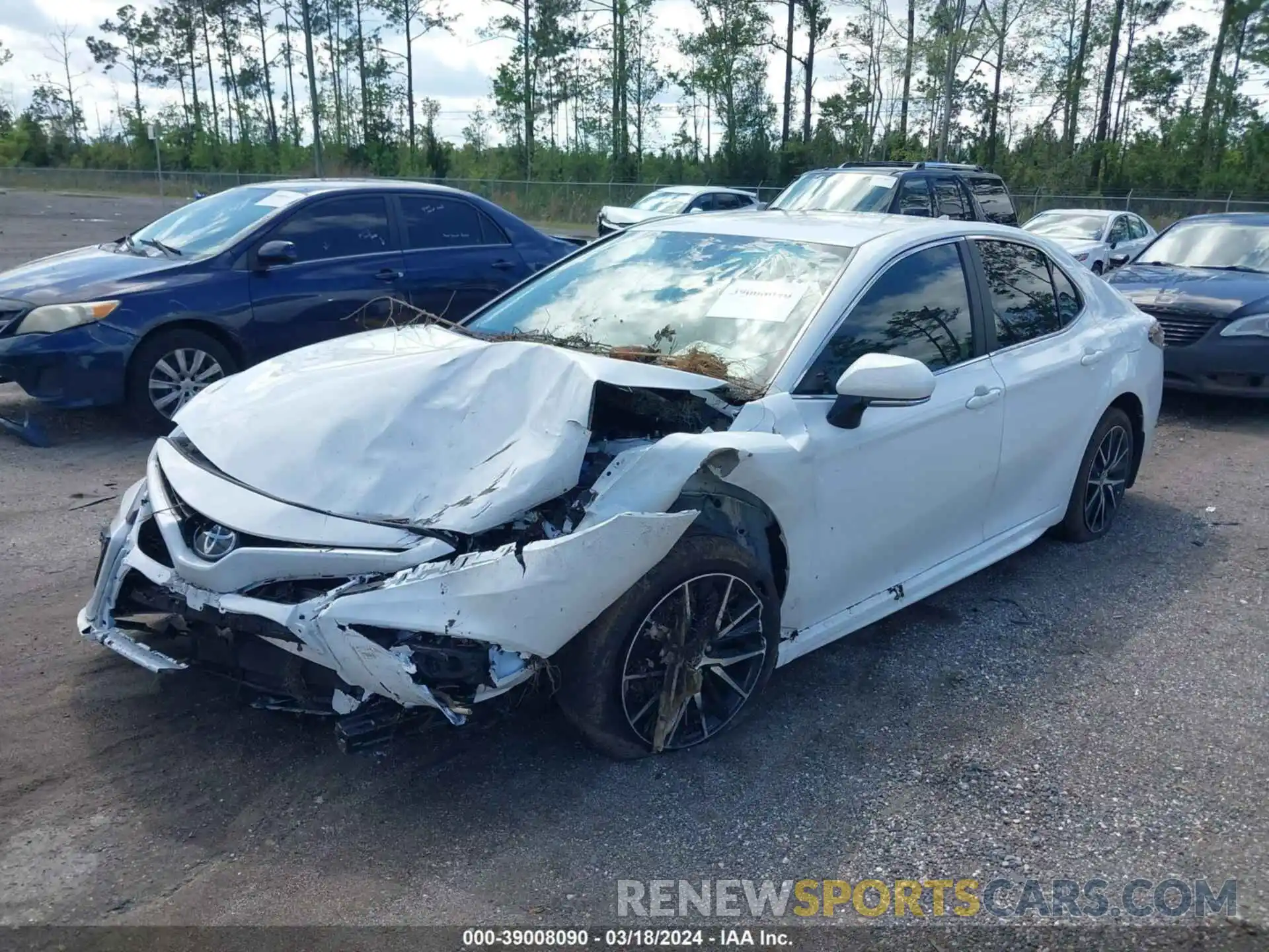 2 Photograph of a damaged car 4T1T11AK8RU845180 TOYOTA CAMRY 2024